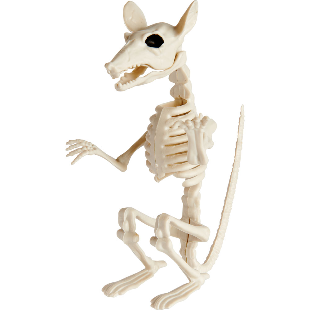 Single Wilko Skeleton Rat Bat Raven Snake in Assorted styles Image 3