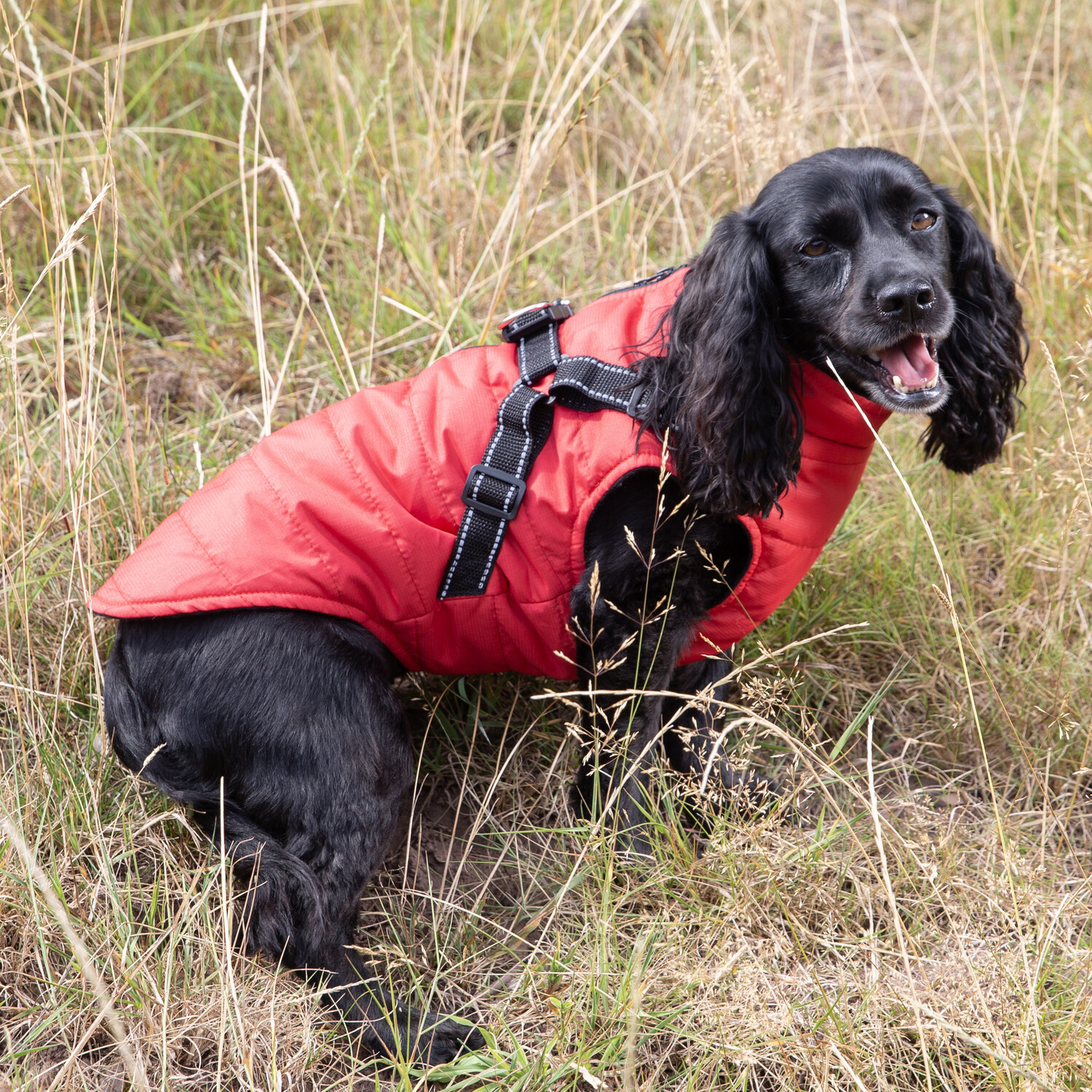Dog Harness Jacket S Image 8