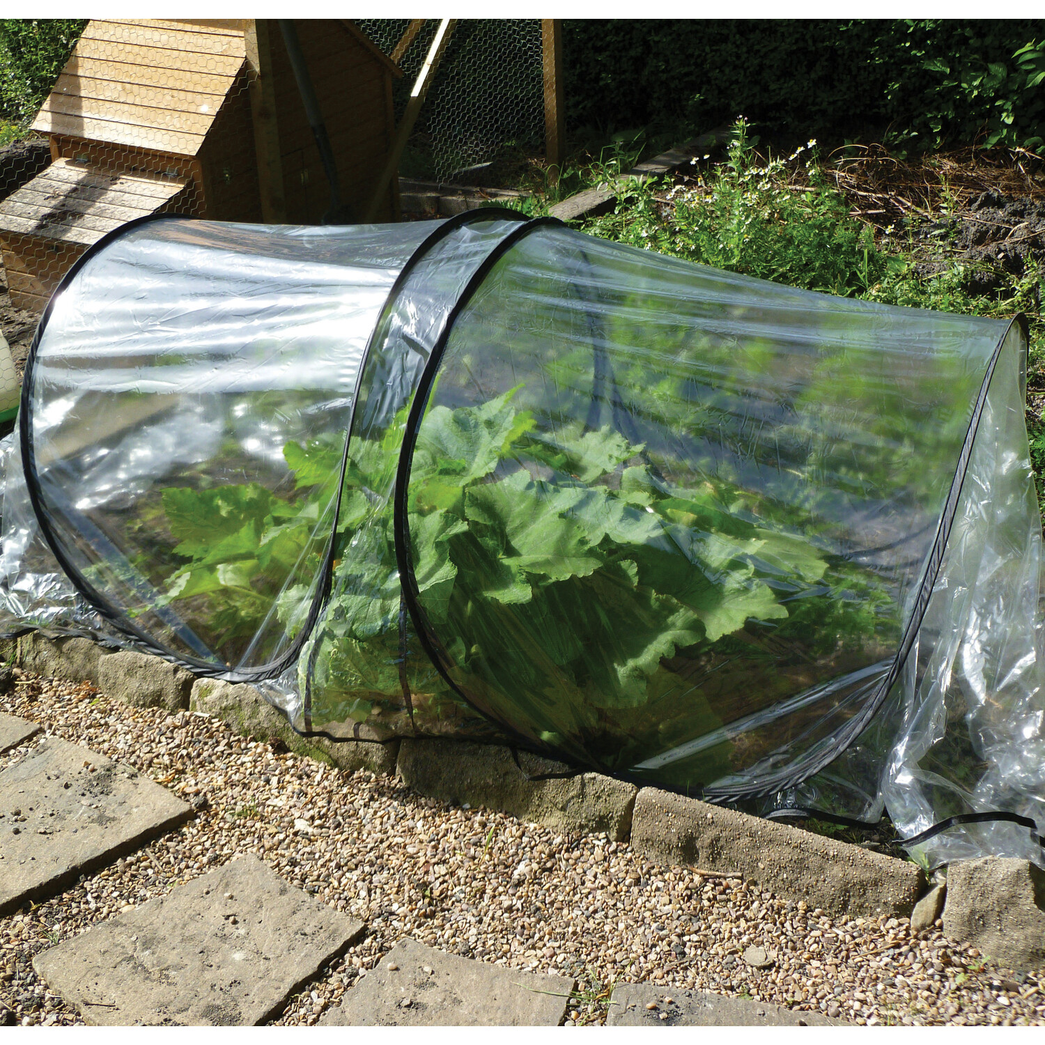 Pop Up Tunnel - Film Image 2