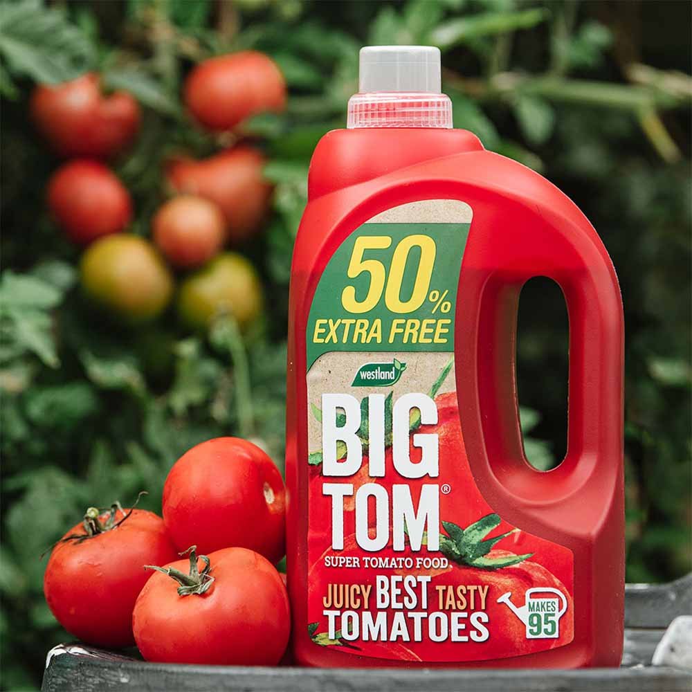 Big Tom Tomato Food 1.25L Image 2