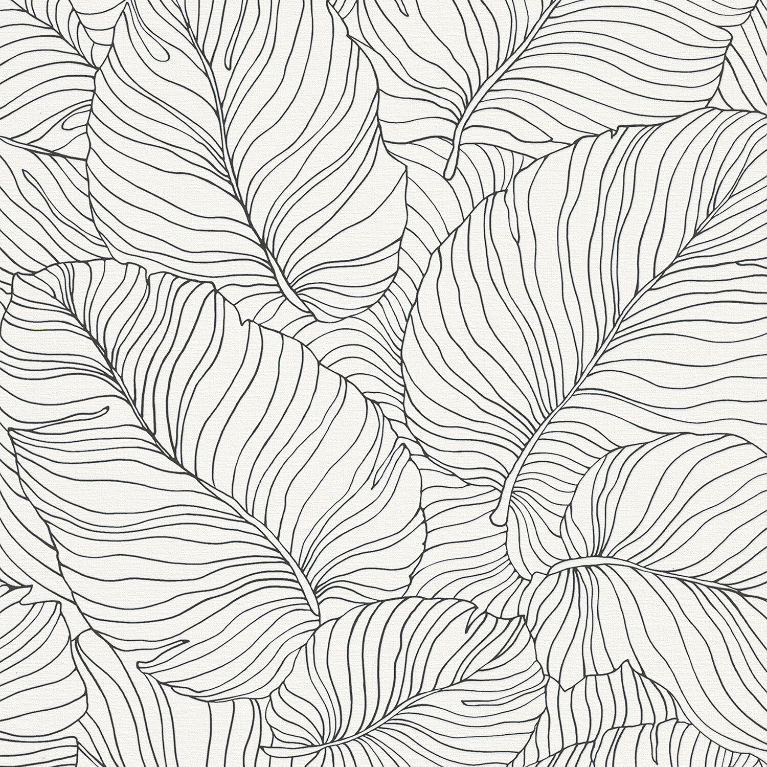 Phoenix Isa Wallpaper - White Image 1