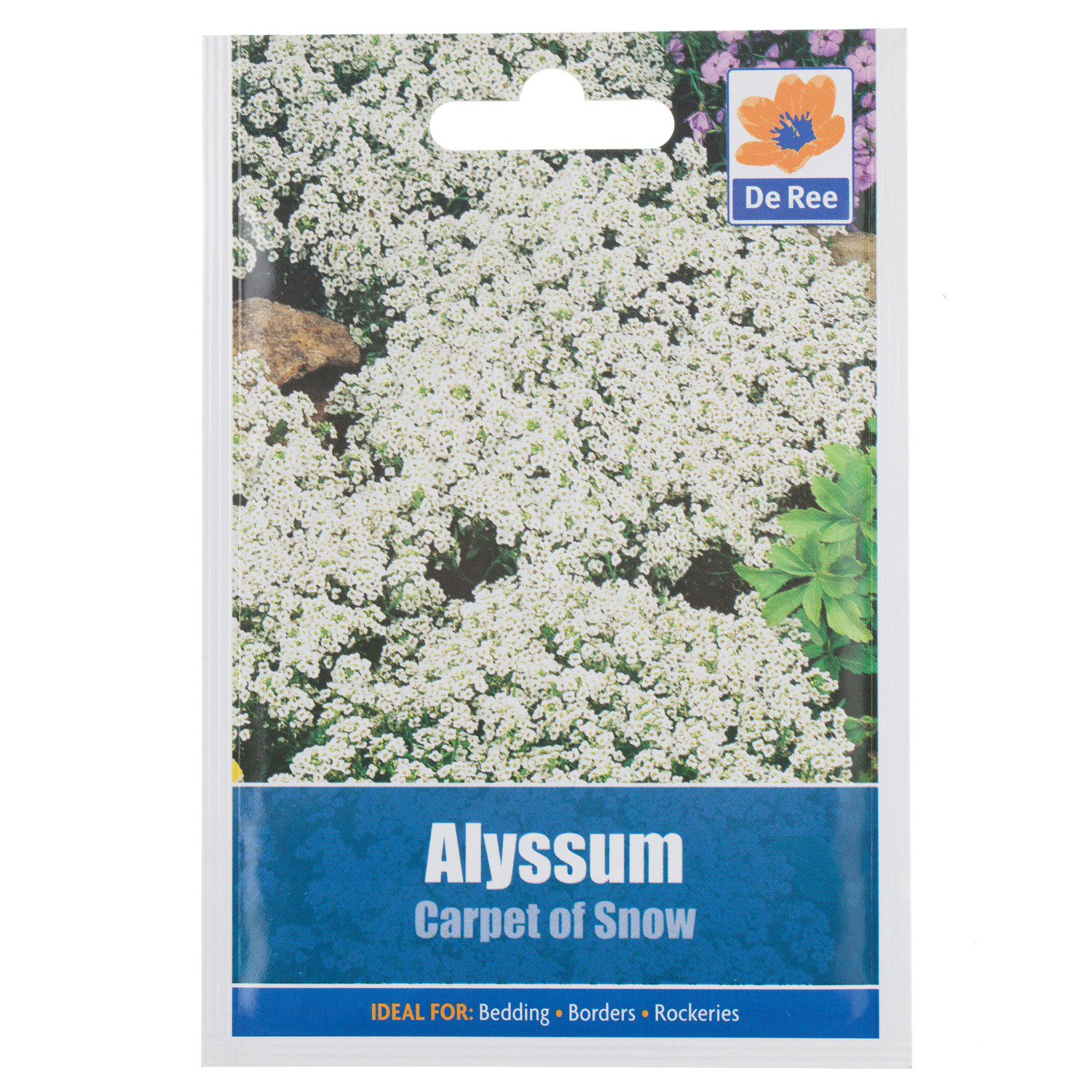 Alyssum Carpet Of Snow Seed Packet Image
