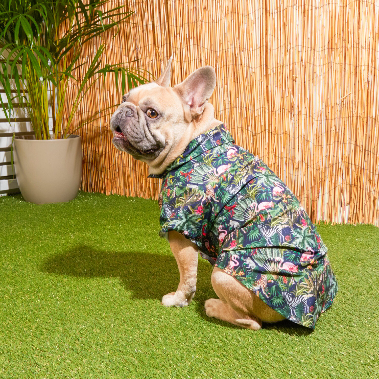 Eden Pet Shirt - Multicolour / 40cm Image 2