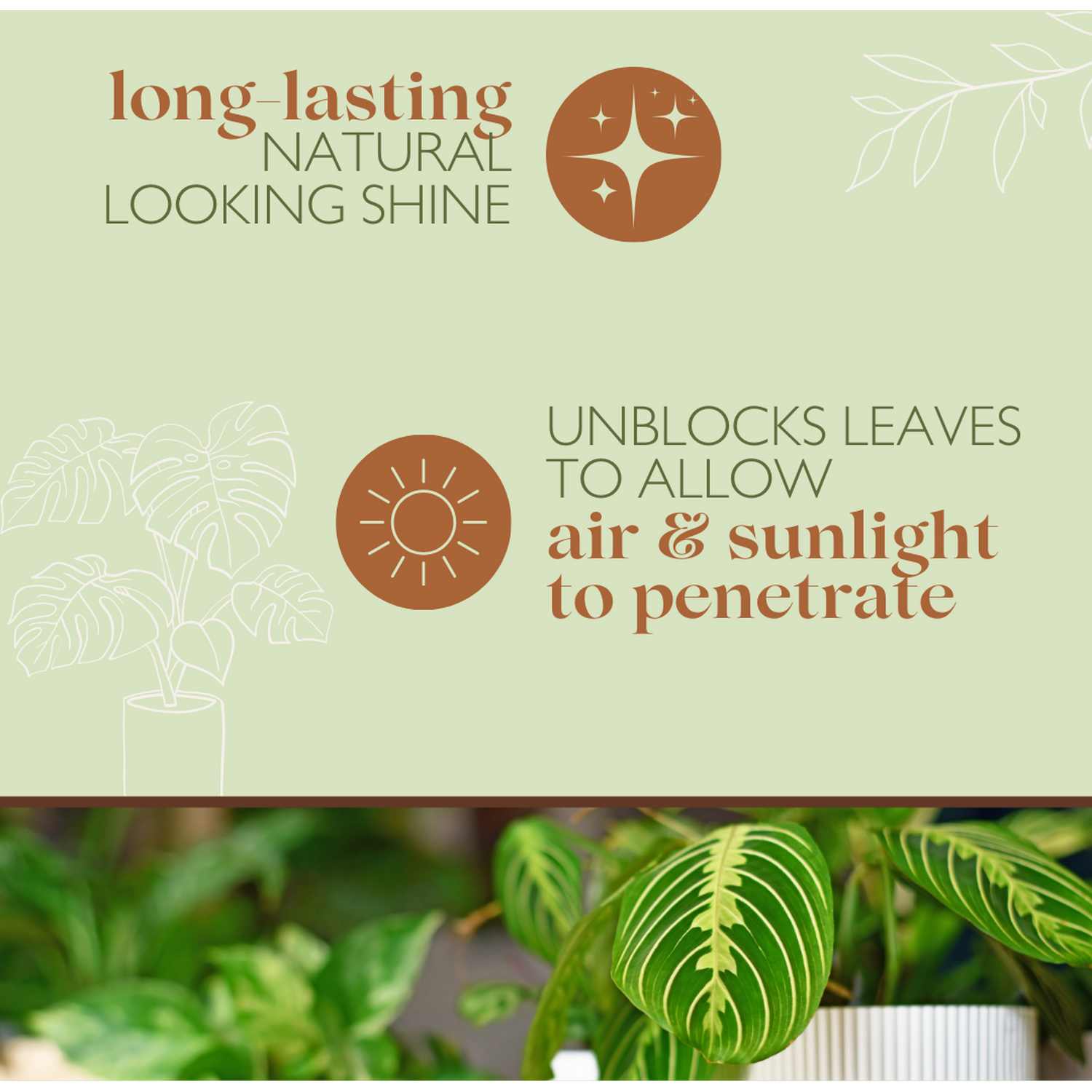 Baby Bio Leaf Shine Spray Image 2