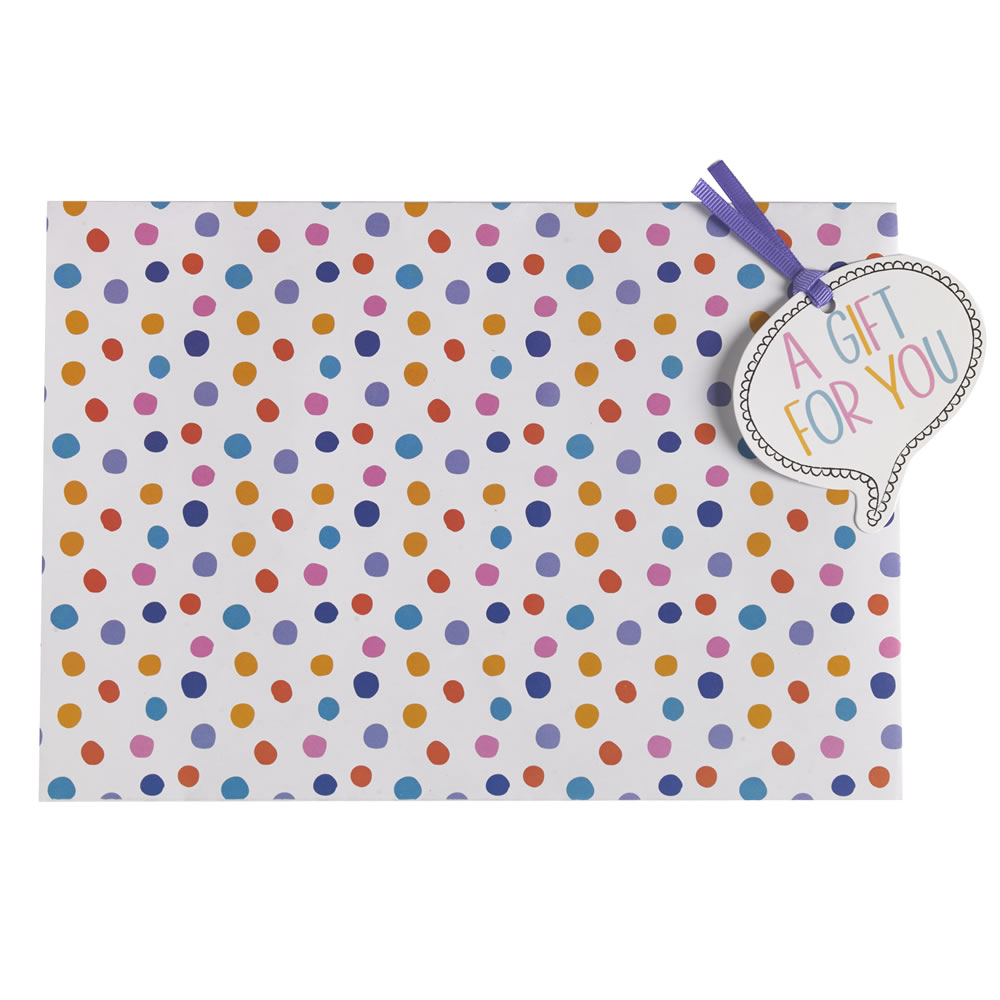 Wilko Selfie Polka Dot Gift Wrap 2 Sheets and 2 Tags Image