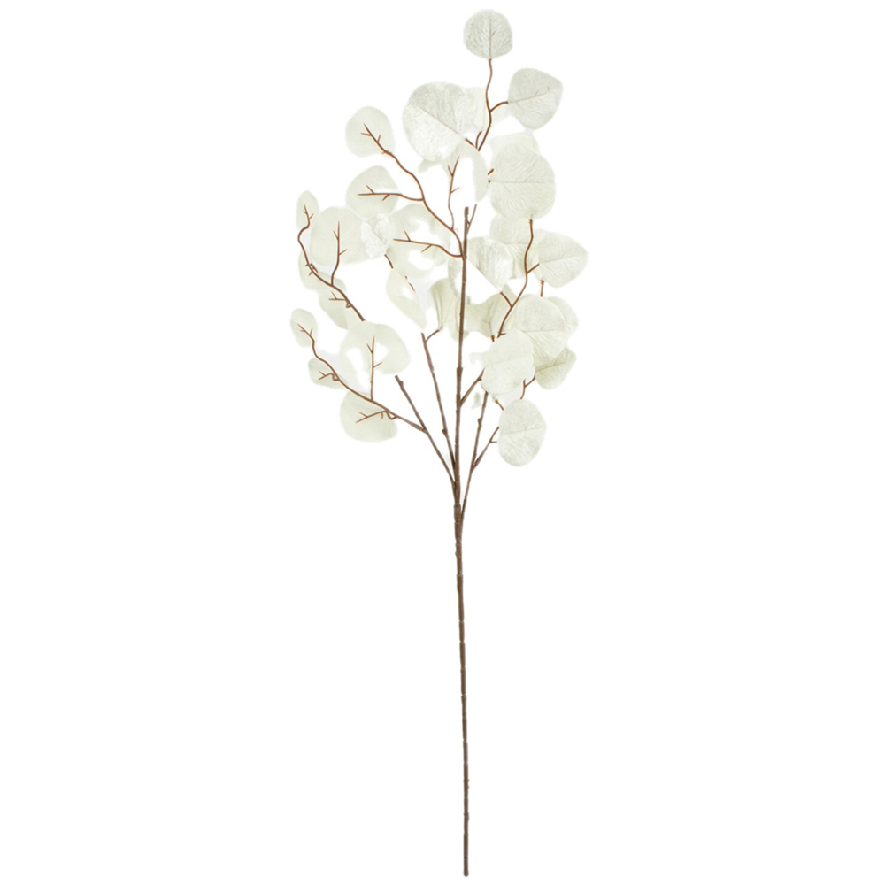 Velvet Eucalyptus SprayCream Image