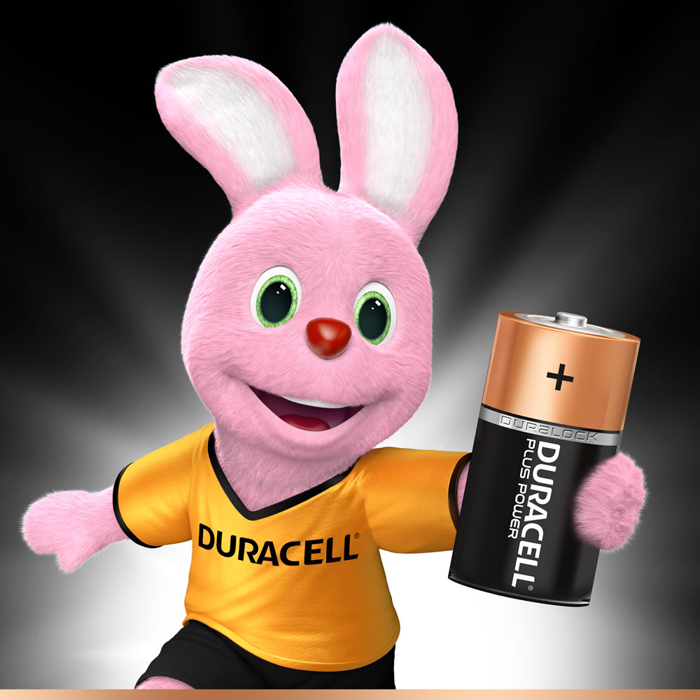 Duracell Plus Power Alkaline Batteries C LR14 1.5V 2pk Image 2