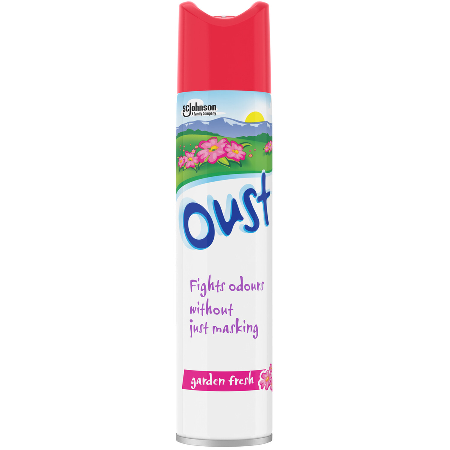Oust Aerosol 300ml Image