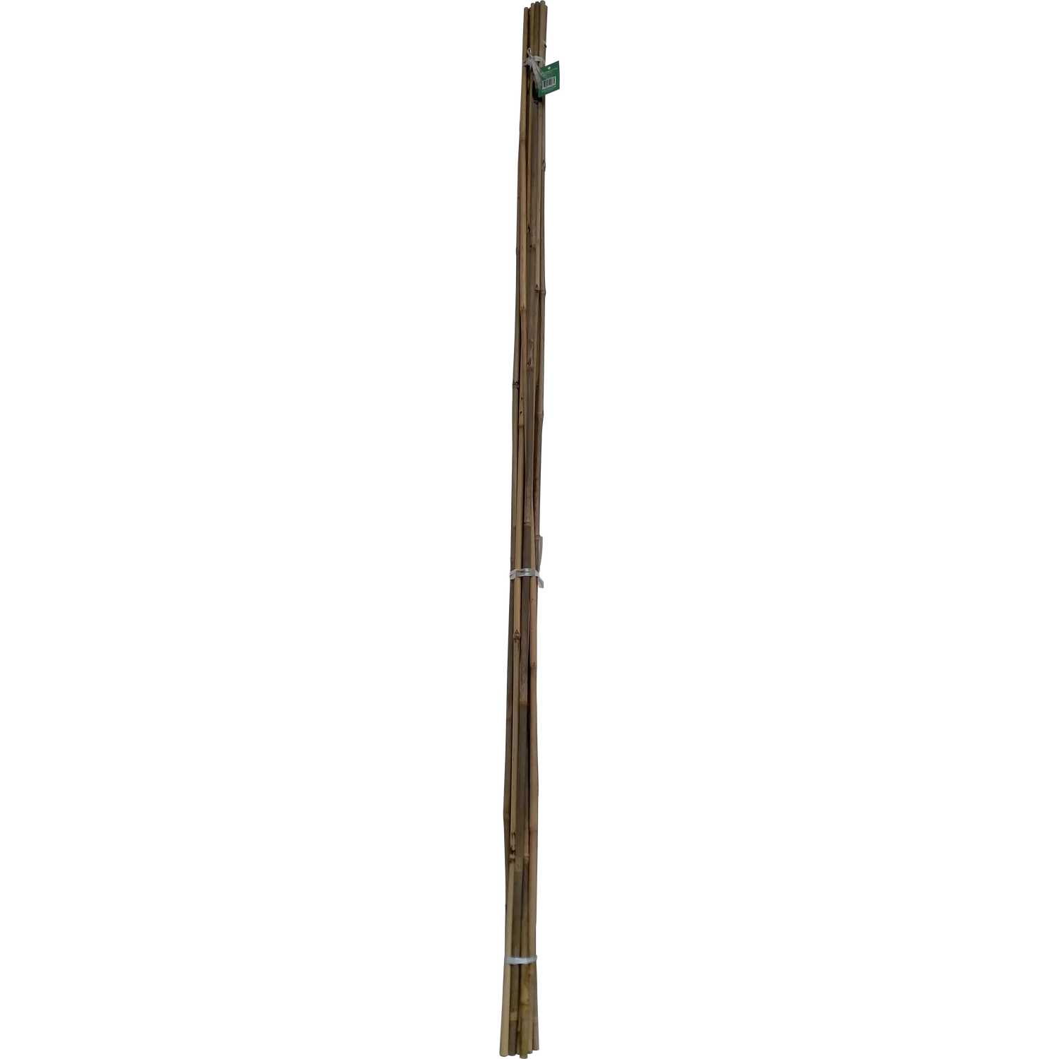 8ft Bamboo Canes Image