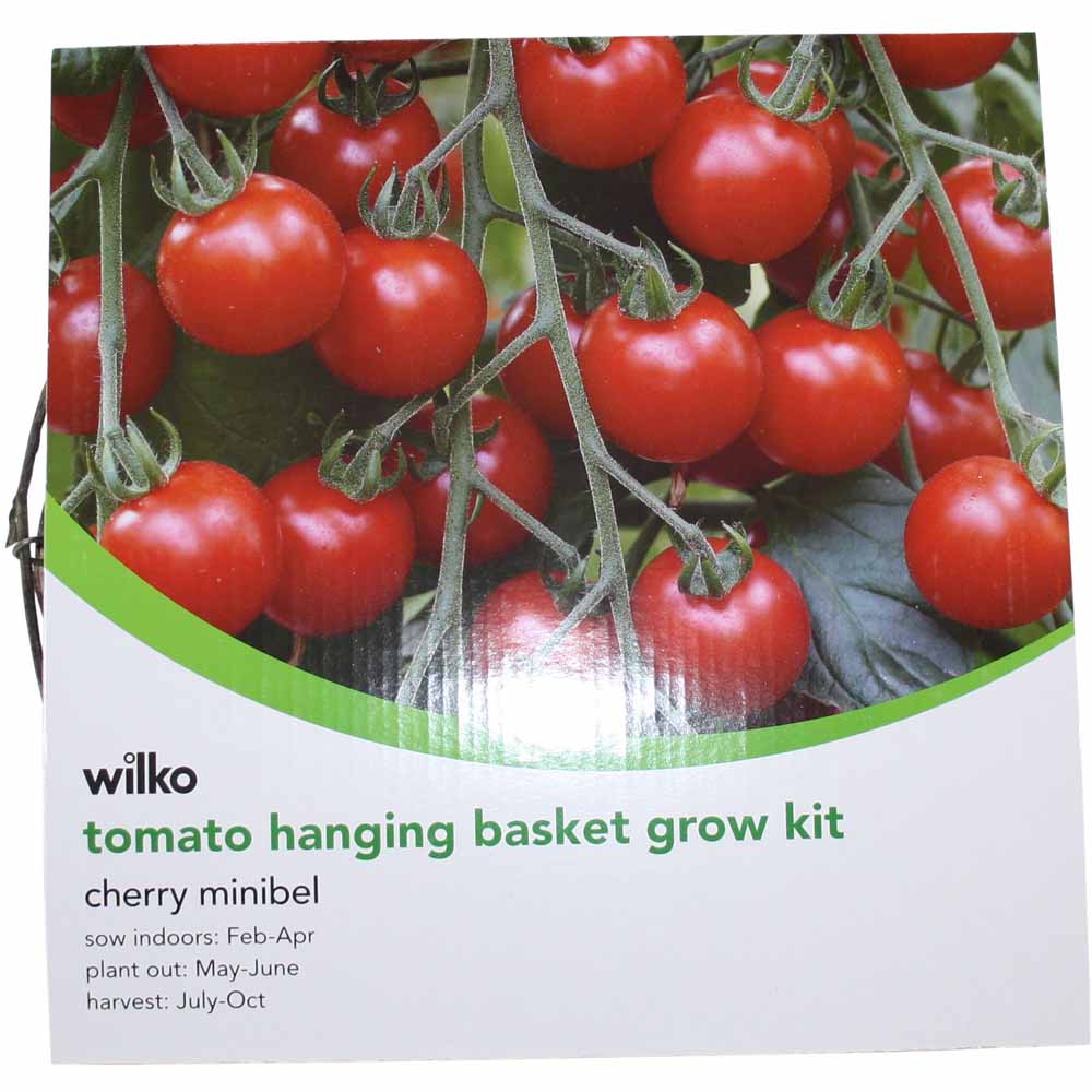 Wilko Cherry Tomato Hanging Basket 30 x 30 x 16cm Image 2