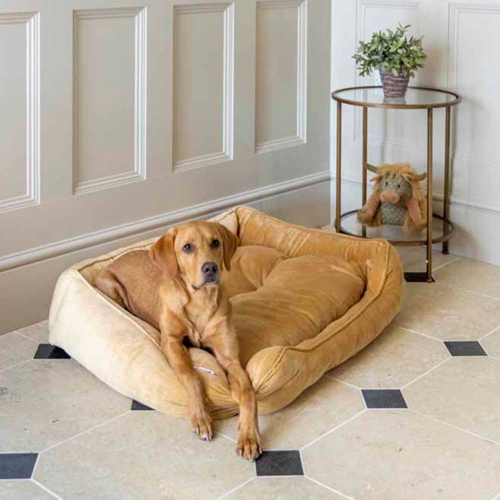 House Of Paws Mustard Velvet Square Dog Bed Medium Image 3