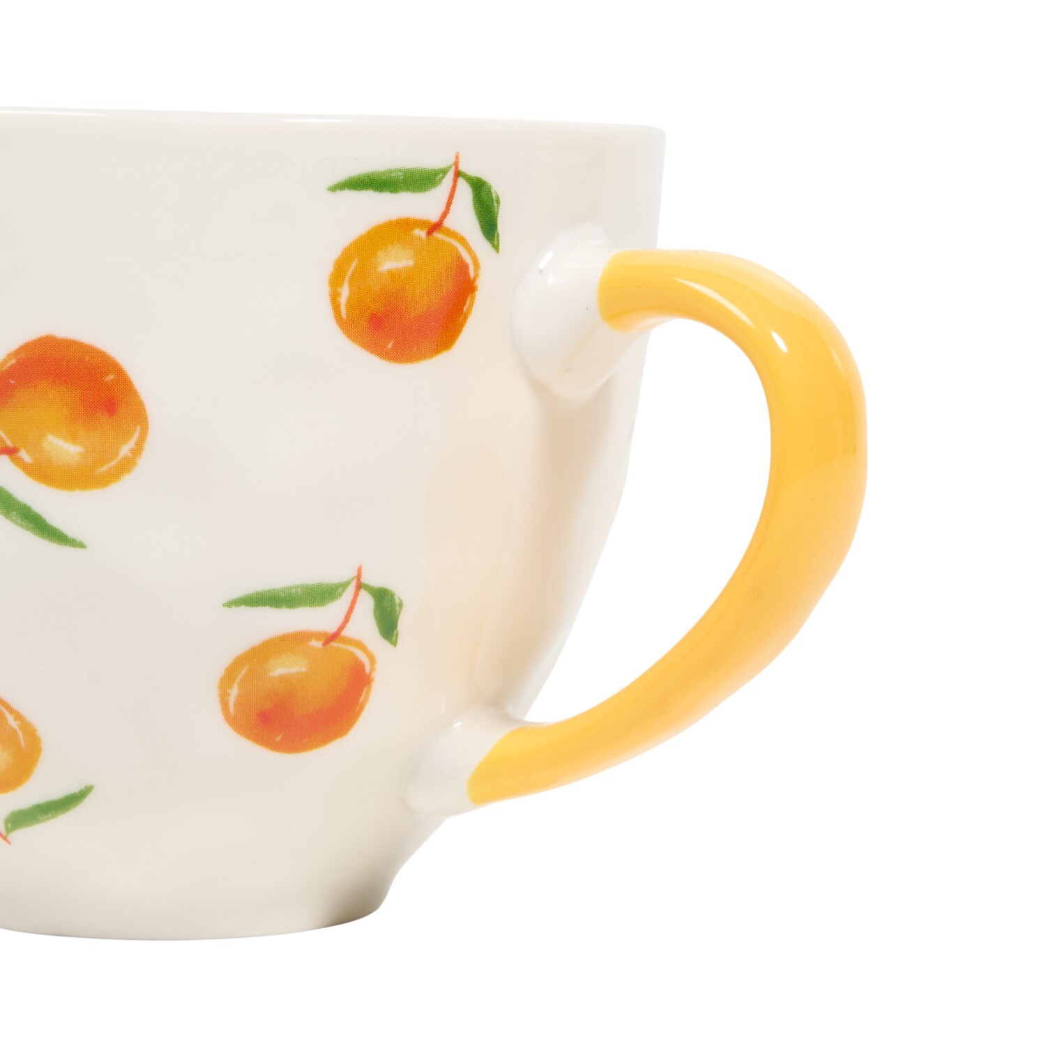 Citrus Mug Image 6
