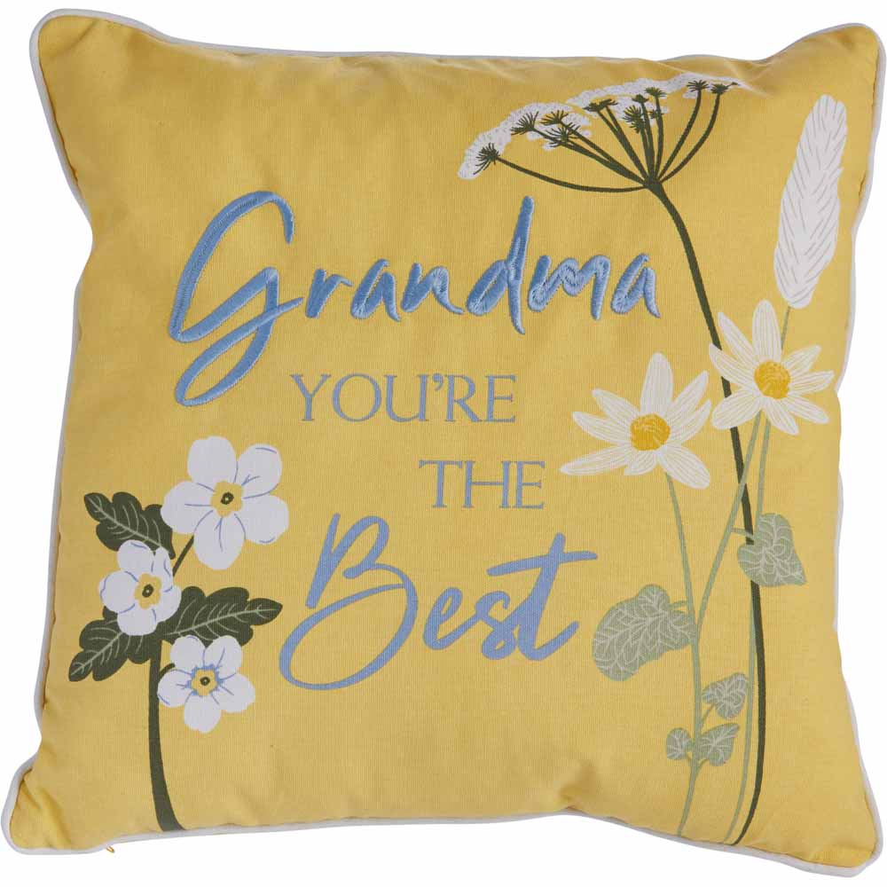 Wilko Grandma Cushion Wilko