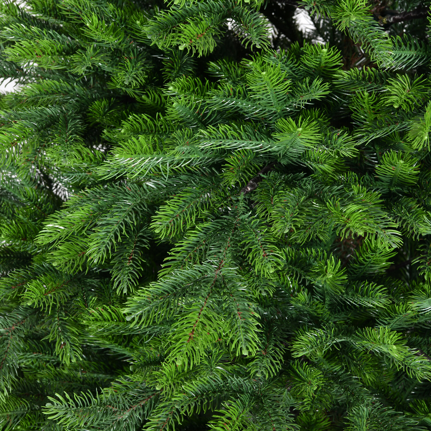 Duchess Fir Tree 7ft - Green Image 5