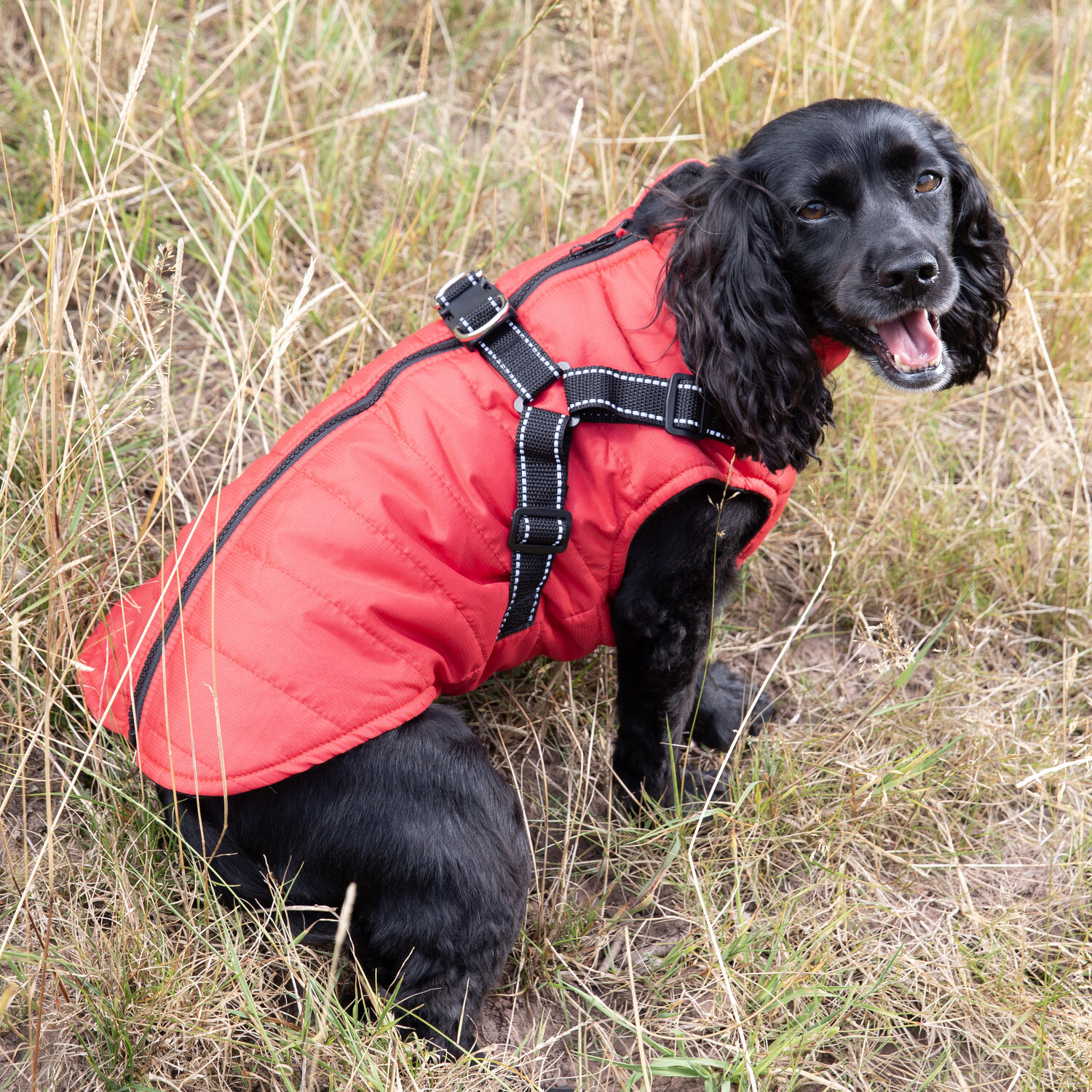 Dog Harness Jacket S Image 9