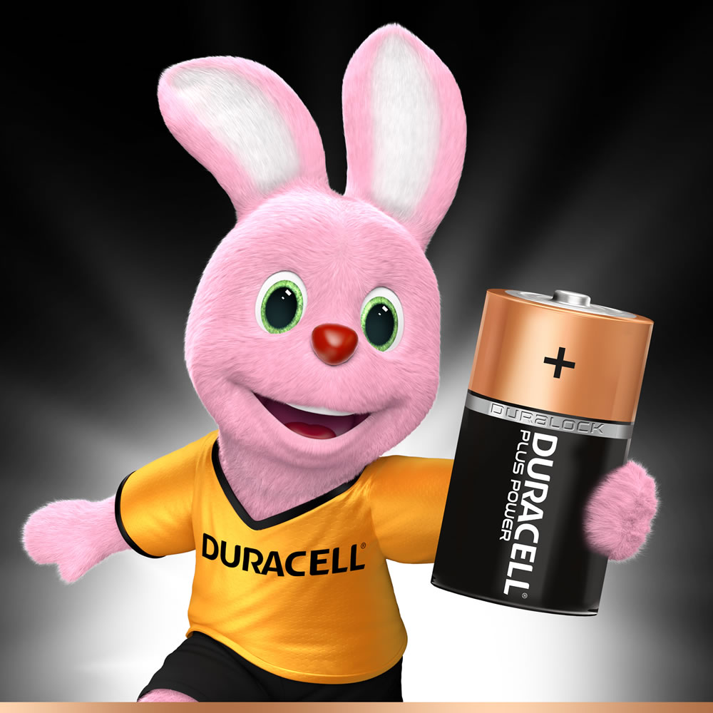 Duracell Plus Power Alkaline Batteries D LR20 1.5V 2pk Image 2