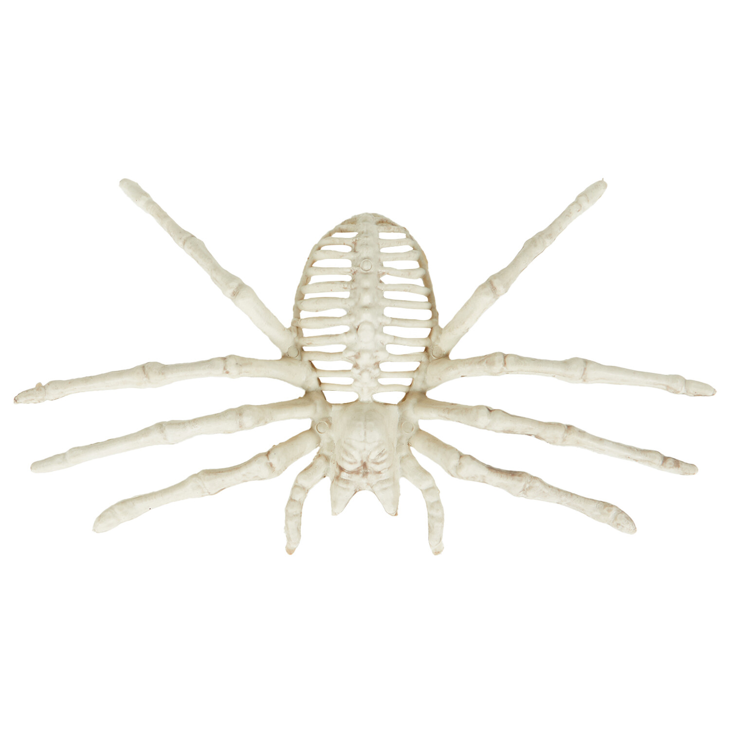 Skeleton Spider White Image 2