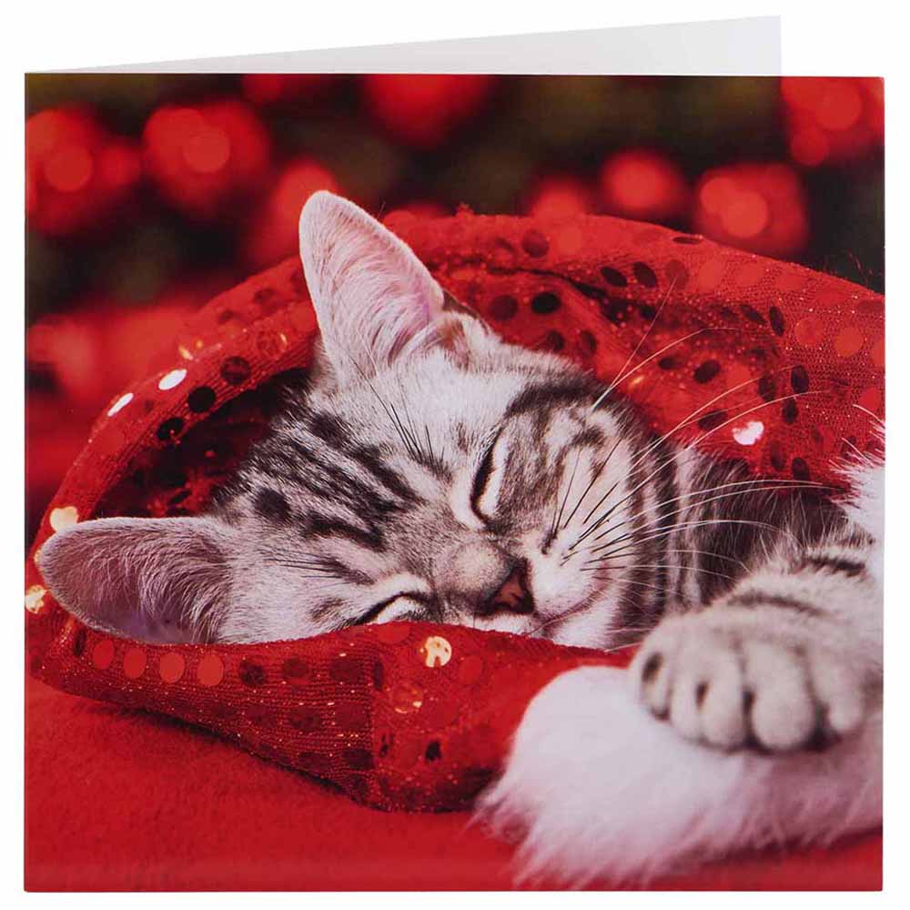 Wilko Kittens Christmas Card 15 Pack Image 2