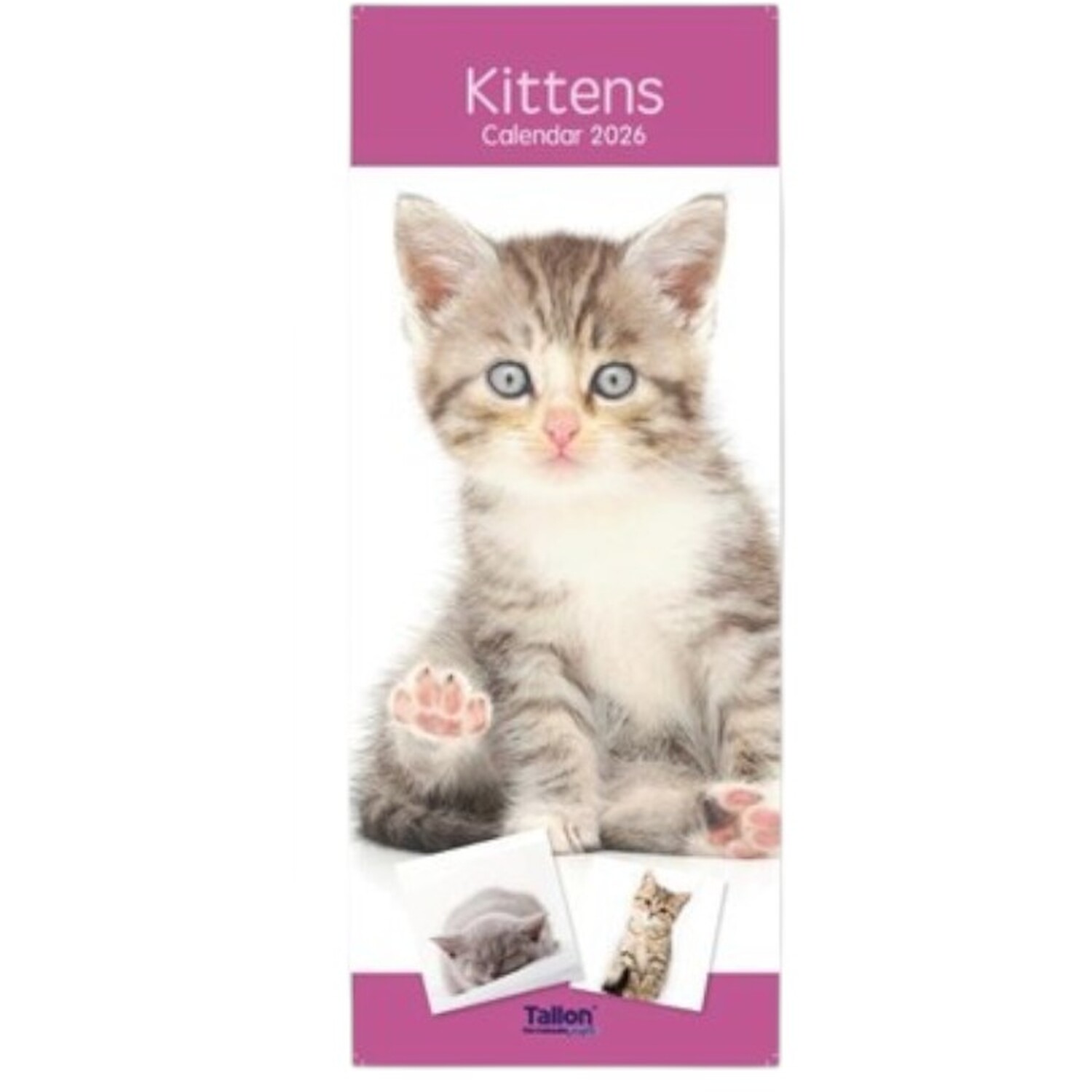 2026 Kittens or Puppies Slim Calendar Image 3