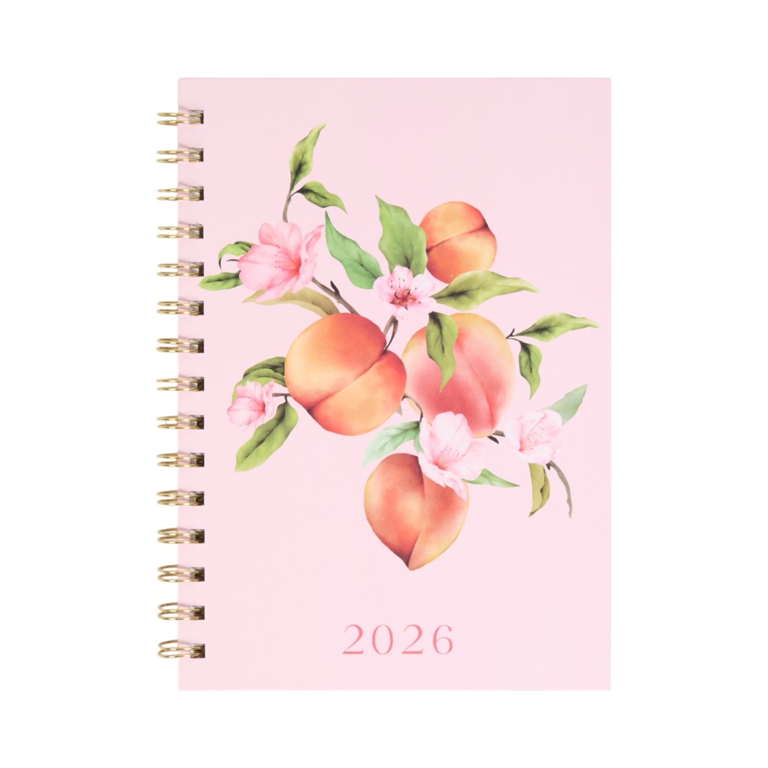 2026 Fruits or Highland Cow Diary Image 2