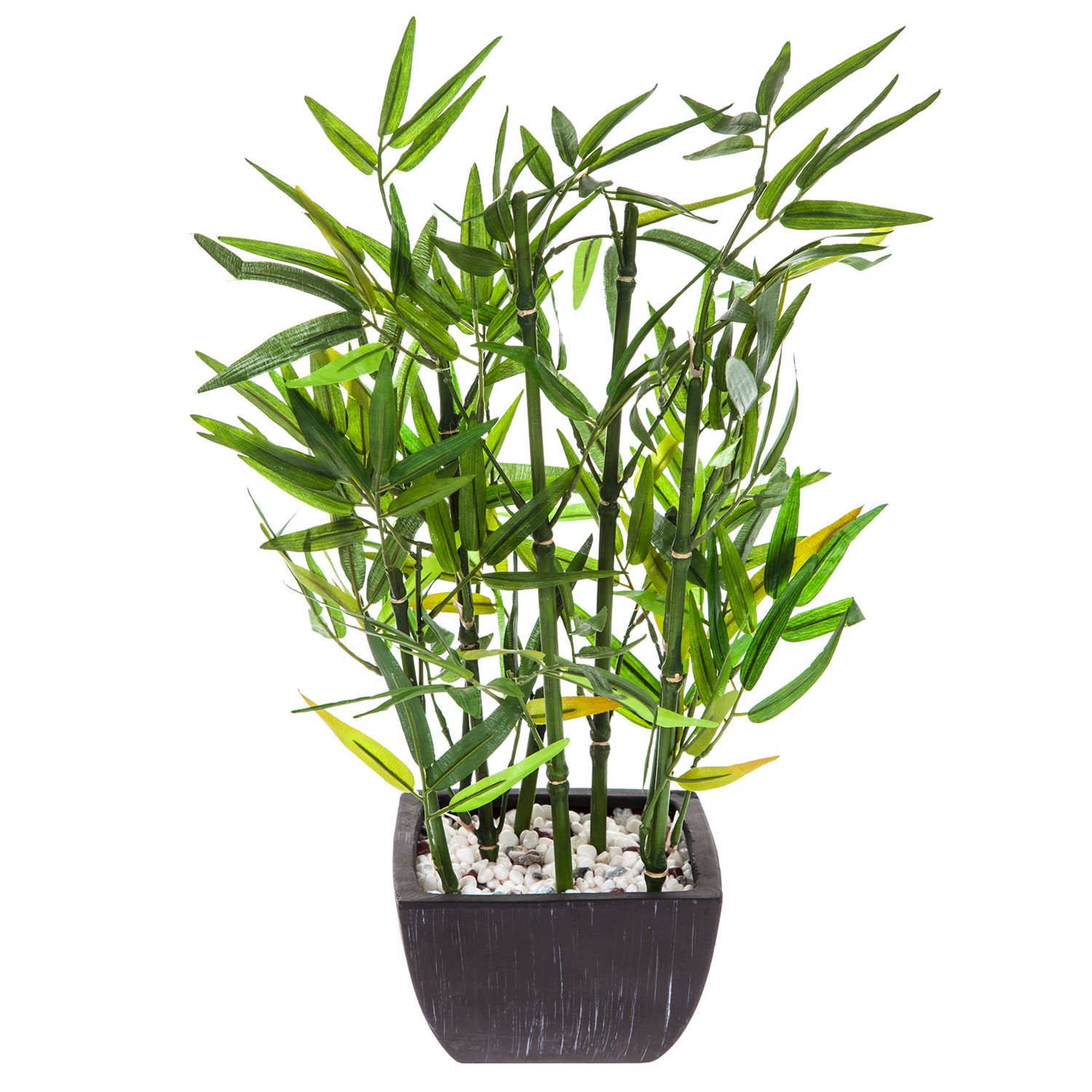 Green Artificial Bamboo in Terracotta Pot  Image