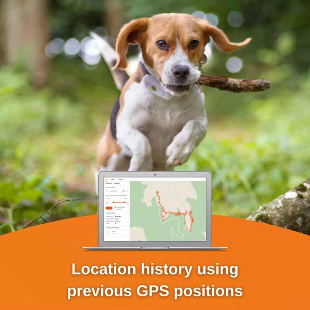 Weenect Dogs GPS Tracker Image 2