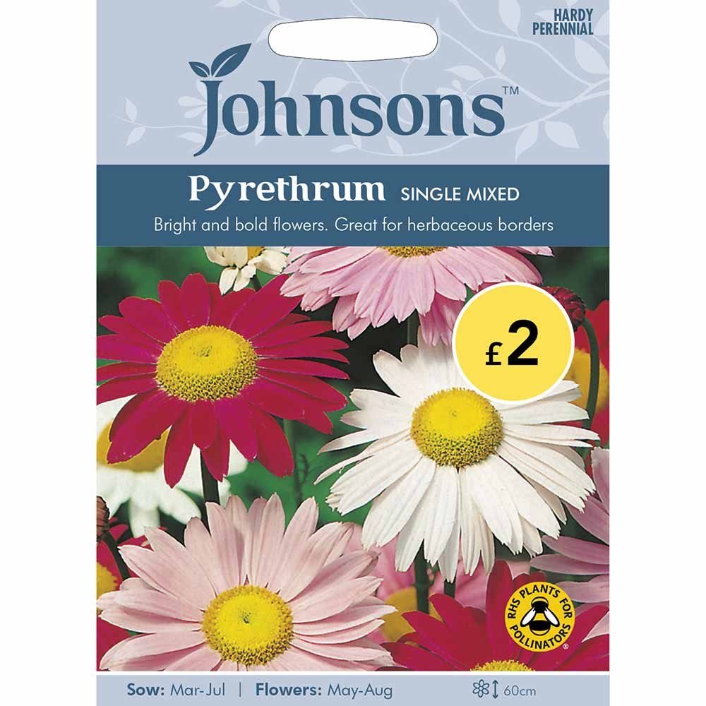 Johnsons Seeds Pyrethrum Single Mixed Image 2