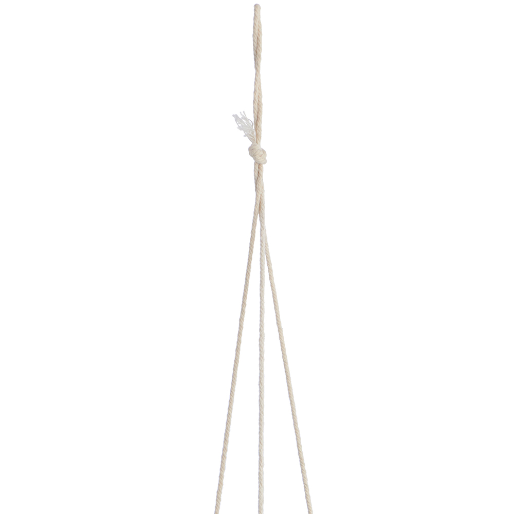 Wilko Hanging Trailing Plant in Pot Wilko