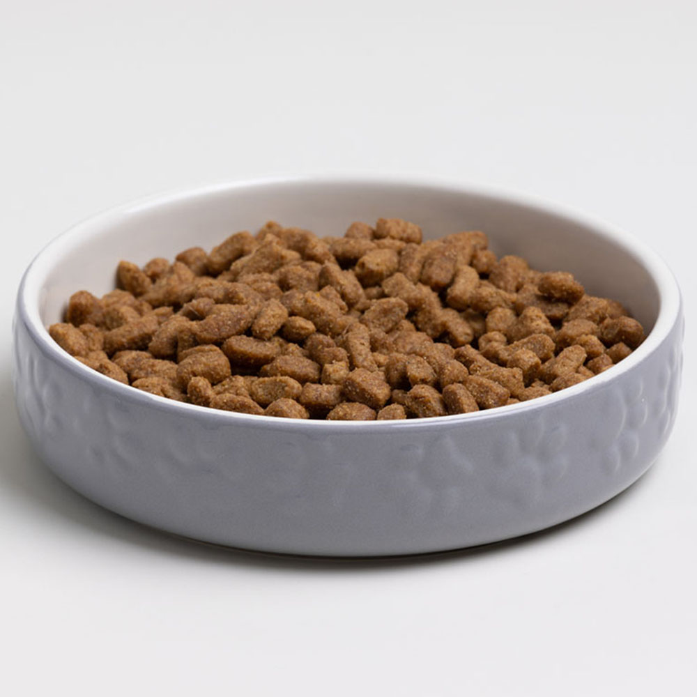 Rayware 13cm Grey Cat Saucer      Image 3