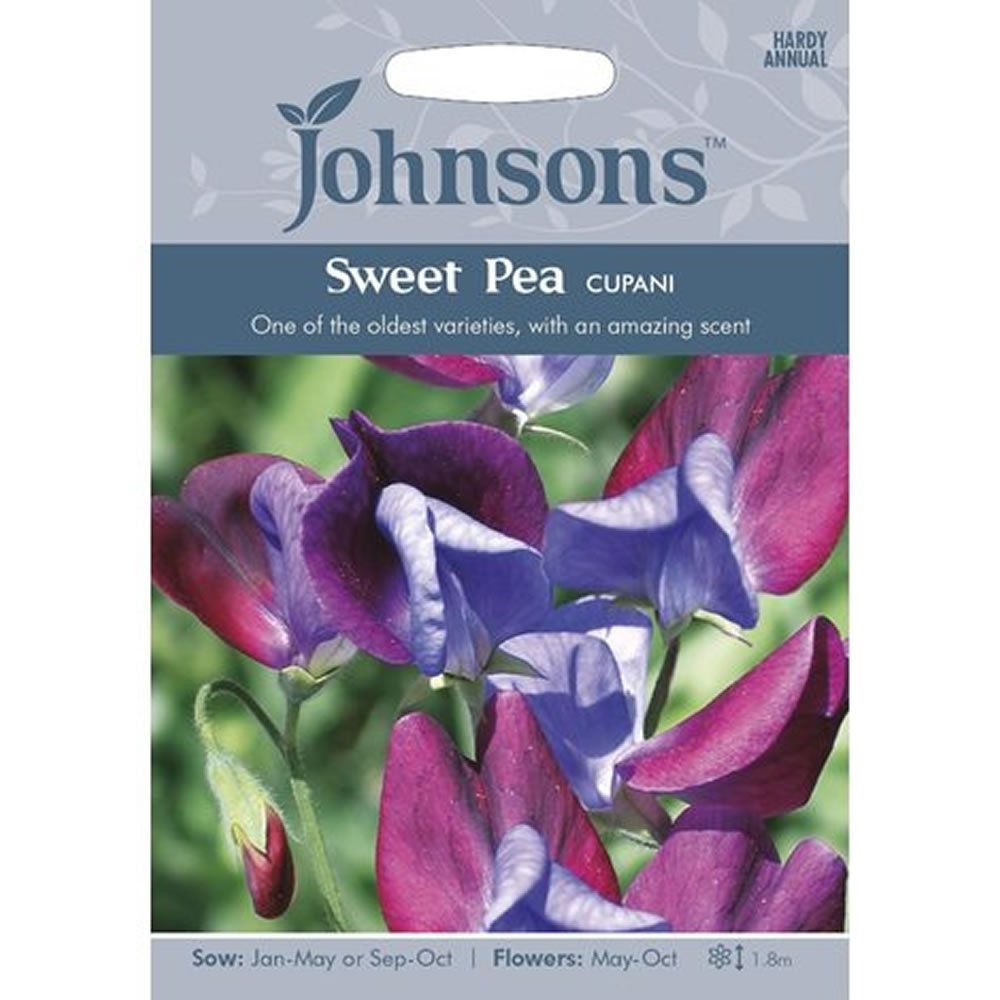 Johnsons Sweet Pea Cupani Pink Flower Seeds Image 2