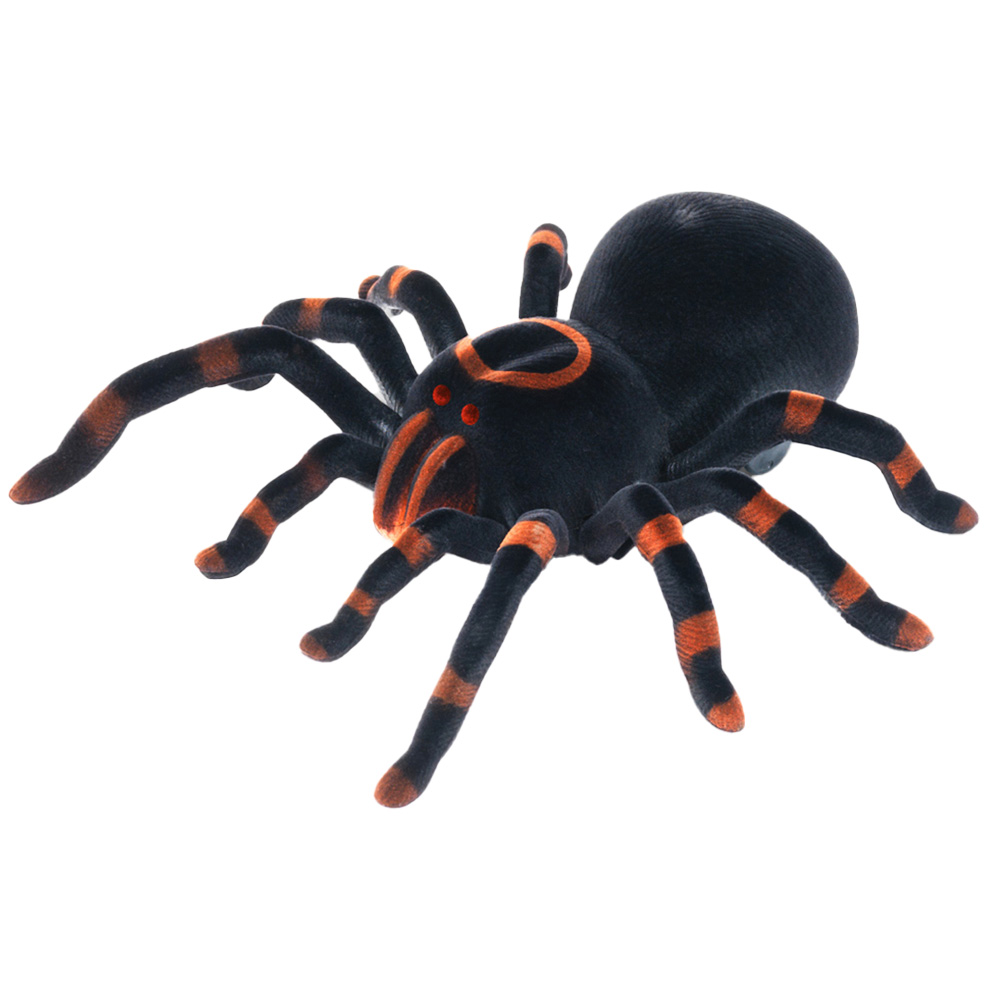 RED5 RC Tarantula Image 1