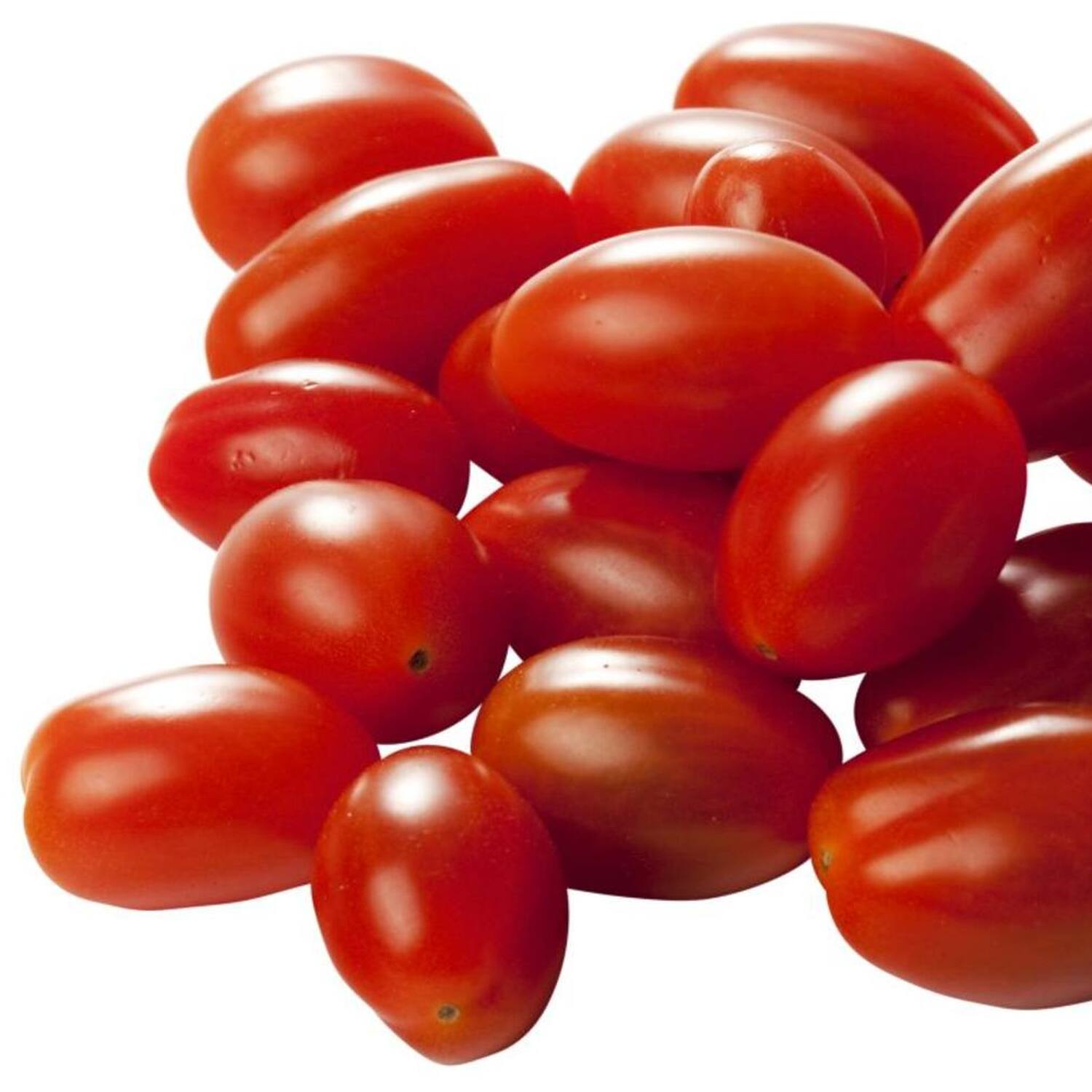 Snack Red Tomato Plant Image 2