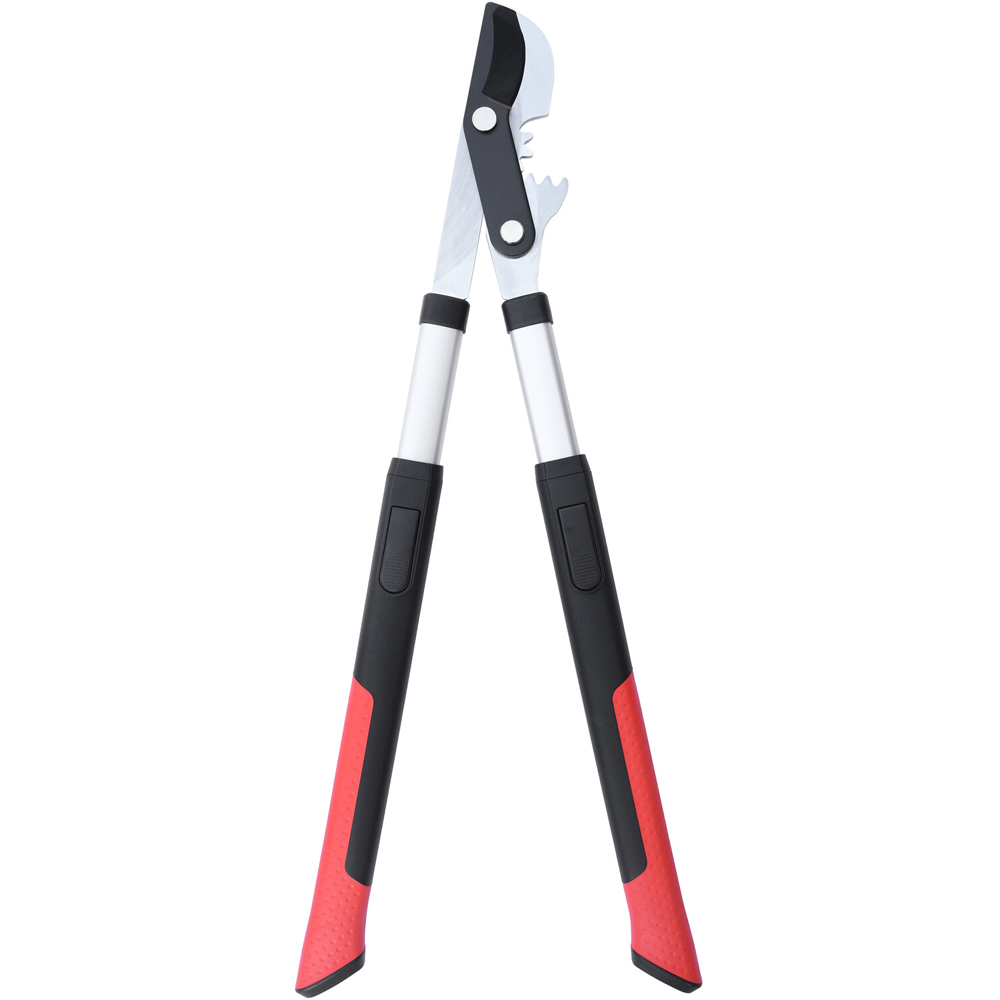Advance Geared Telescopic Bypass Lopper Image 1