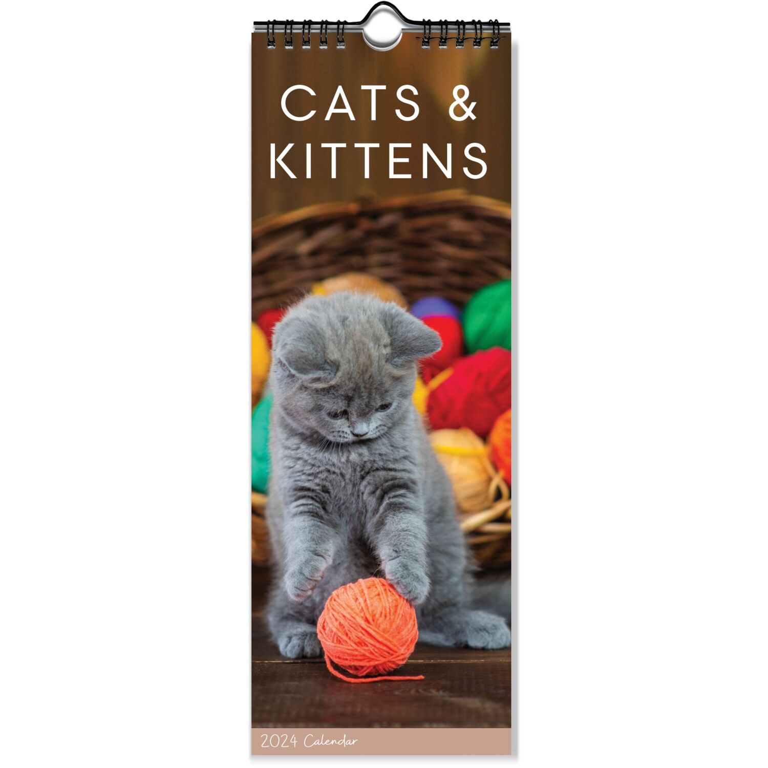 Cats and Dogs Slim Spiral Calendar Image 2