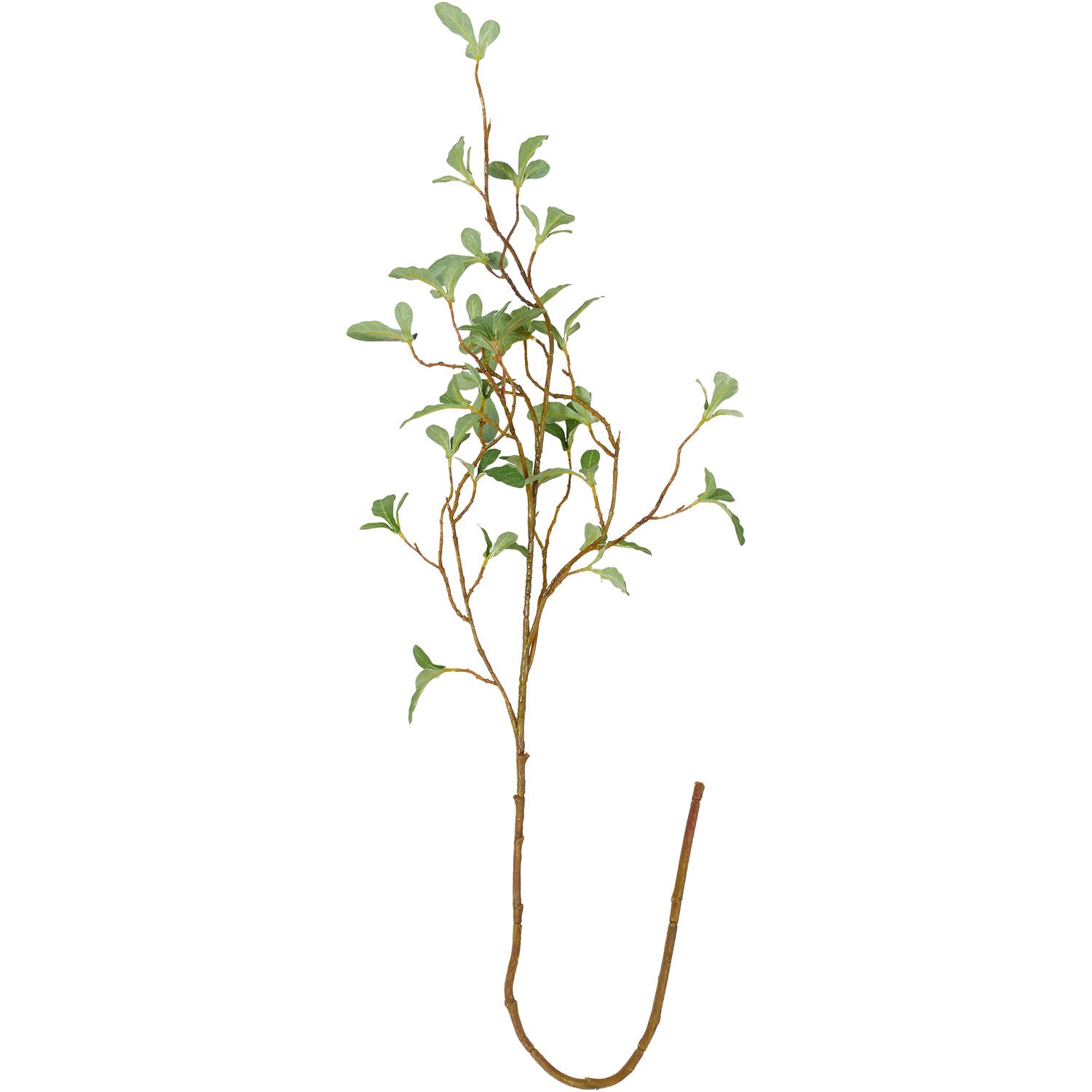 Leaves Spray - Green Image 1