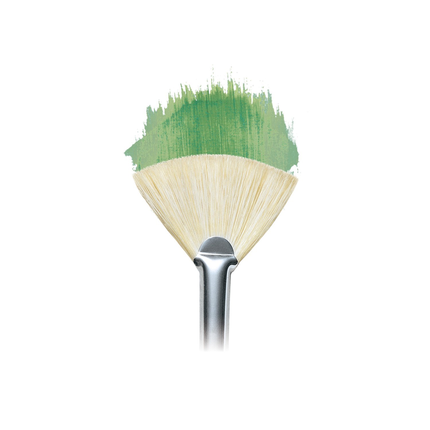 Winsor and Newton Winton Fan Hog Brush - No. 13 Image 3