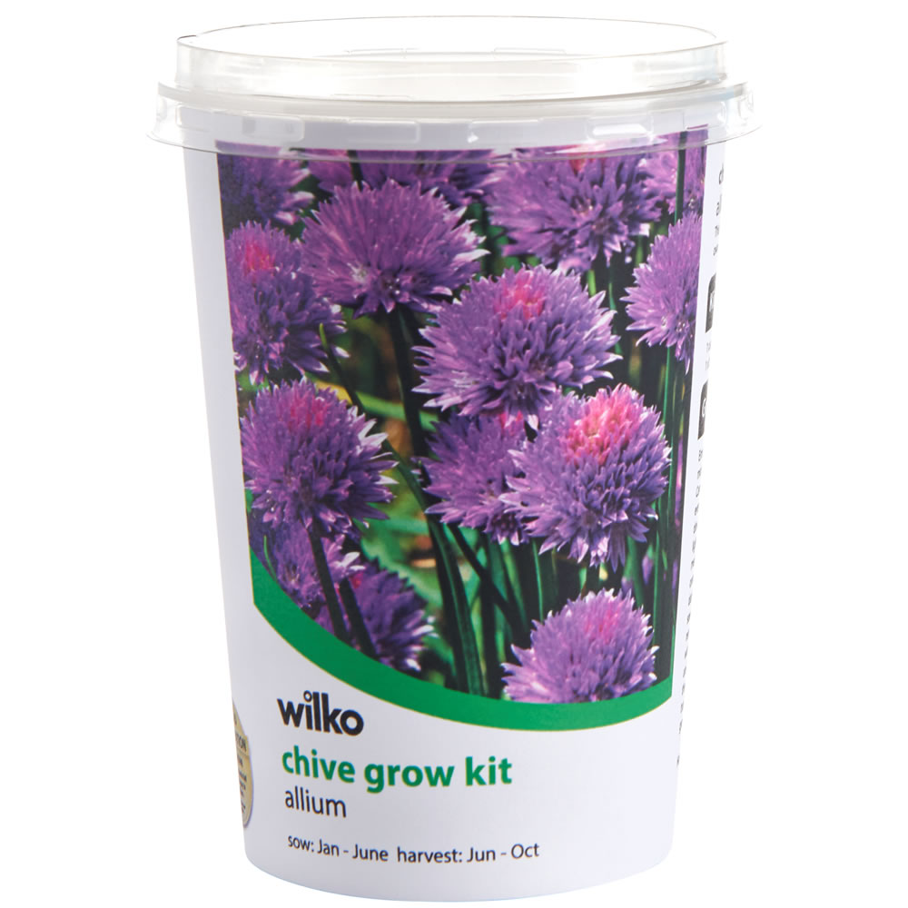 Wilko Chive Herb Pot Image
