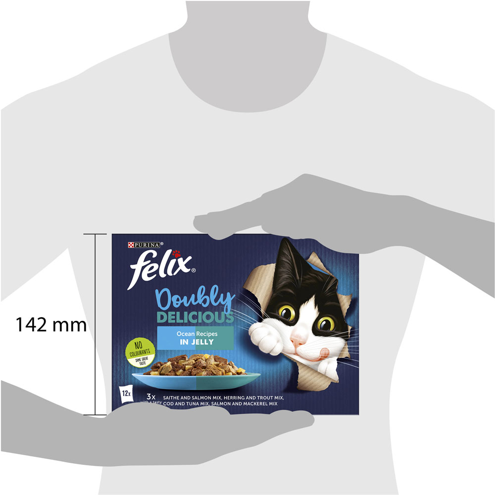 Felix As Good As It Looks Doubly Delicious Ocean Recipes Cat Food 12 x 100g Image 4