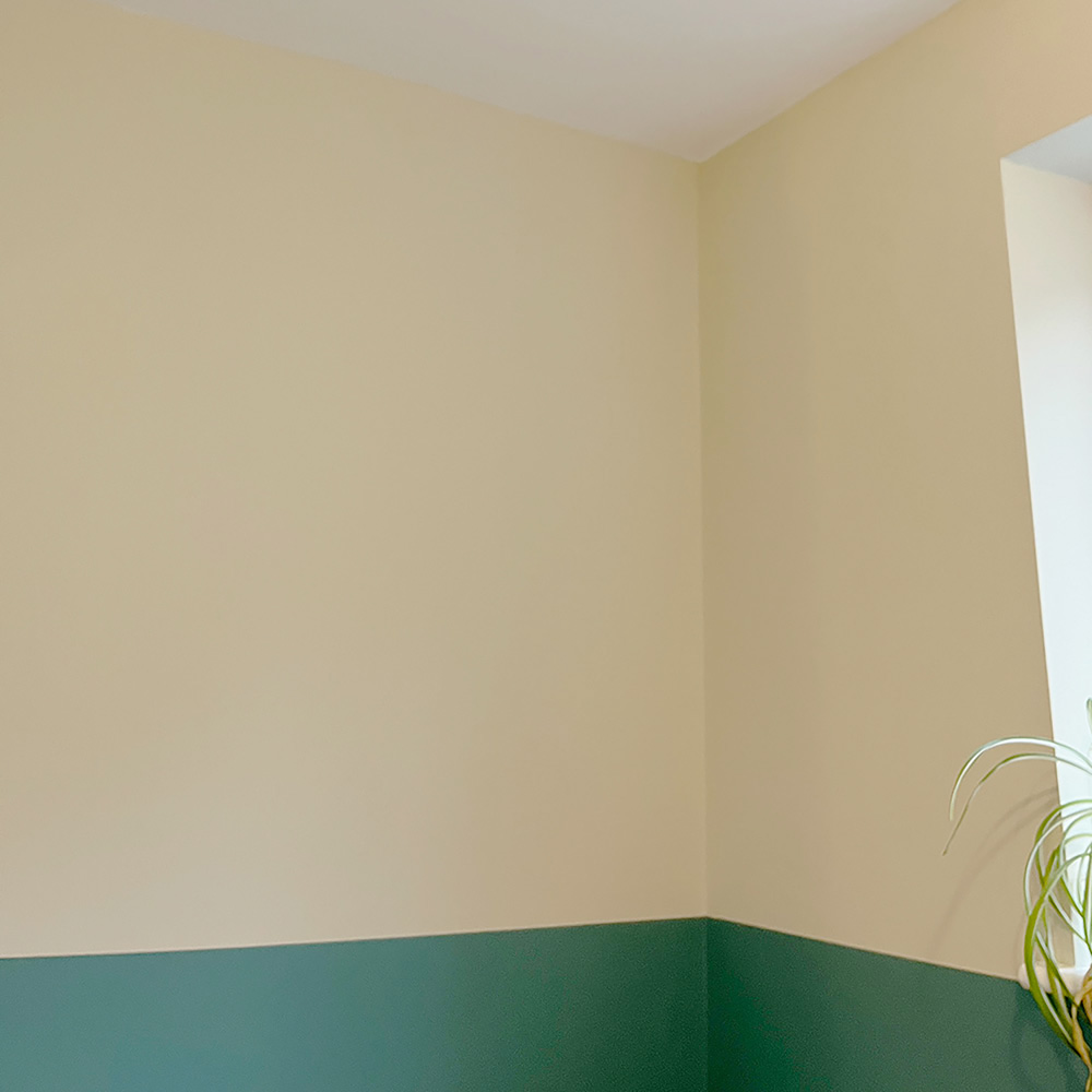 Thorndown Walls and Ceilings Cow Parsley Matt Paint 750ml Image 4