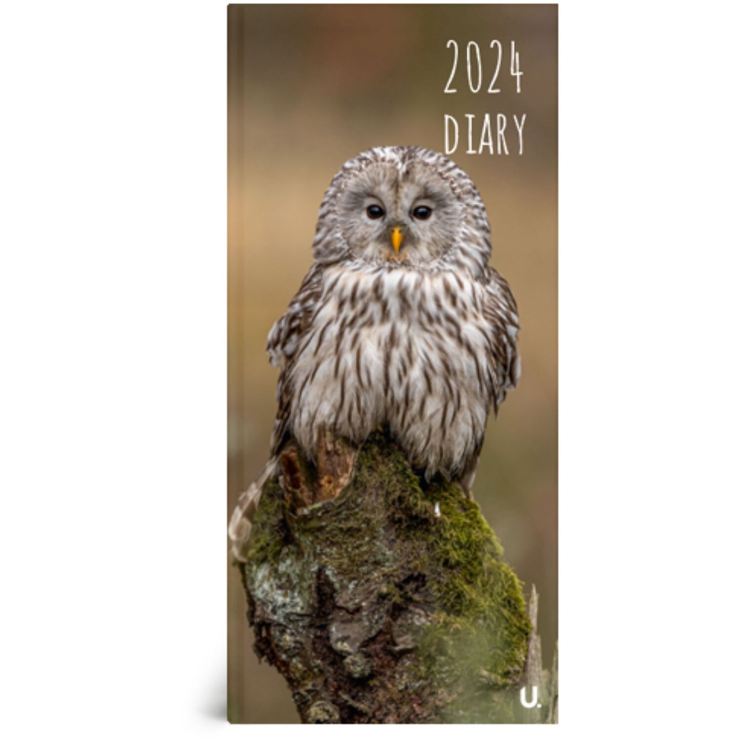 Slim Spiral Calendar and Slim Diary Set Image 9