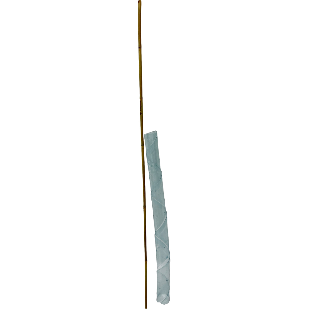 Inspirational Gifting Clear Spiral Tree Guard with Canes 60cm x 38mm 100 Pack Image 3