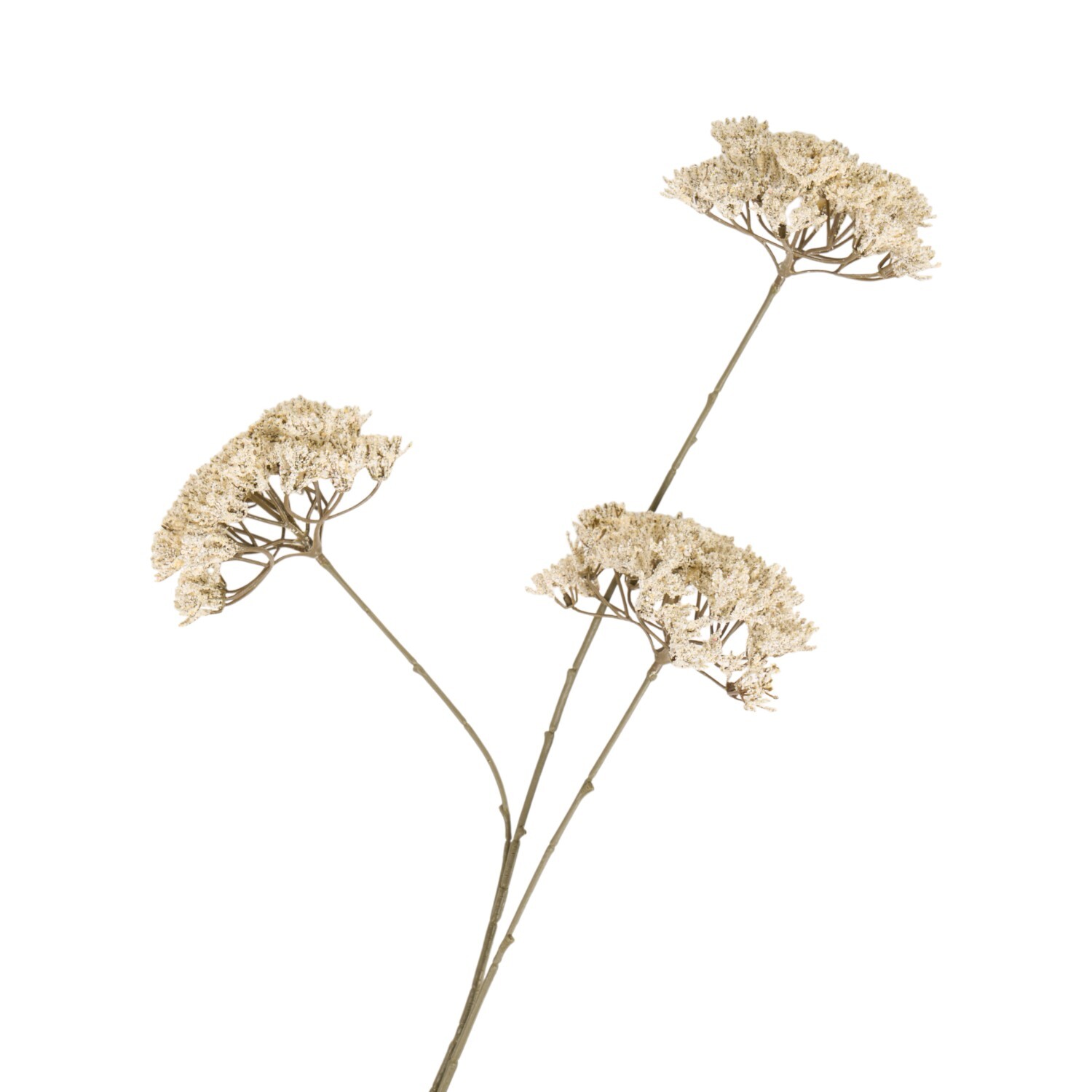 Queen Annes Lace Stem 86cm White Image 3