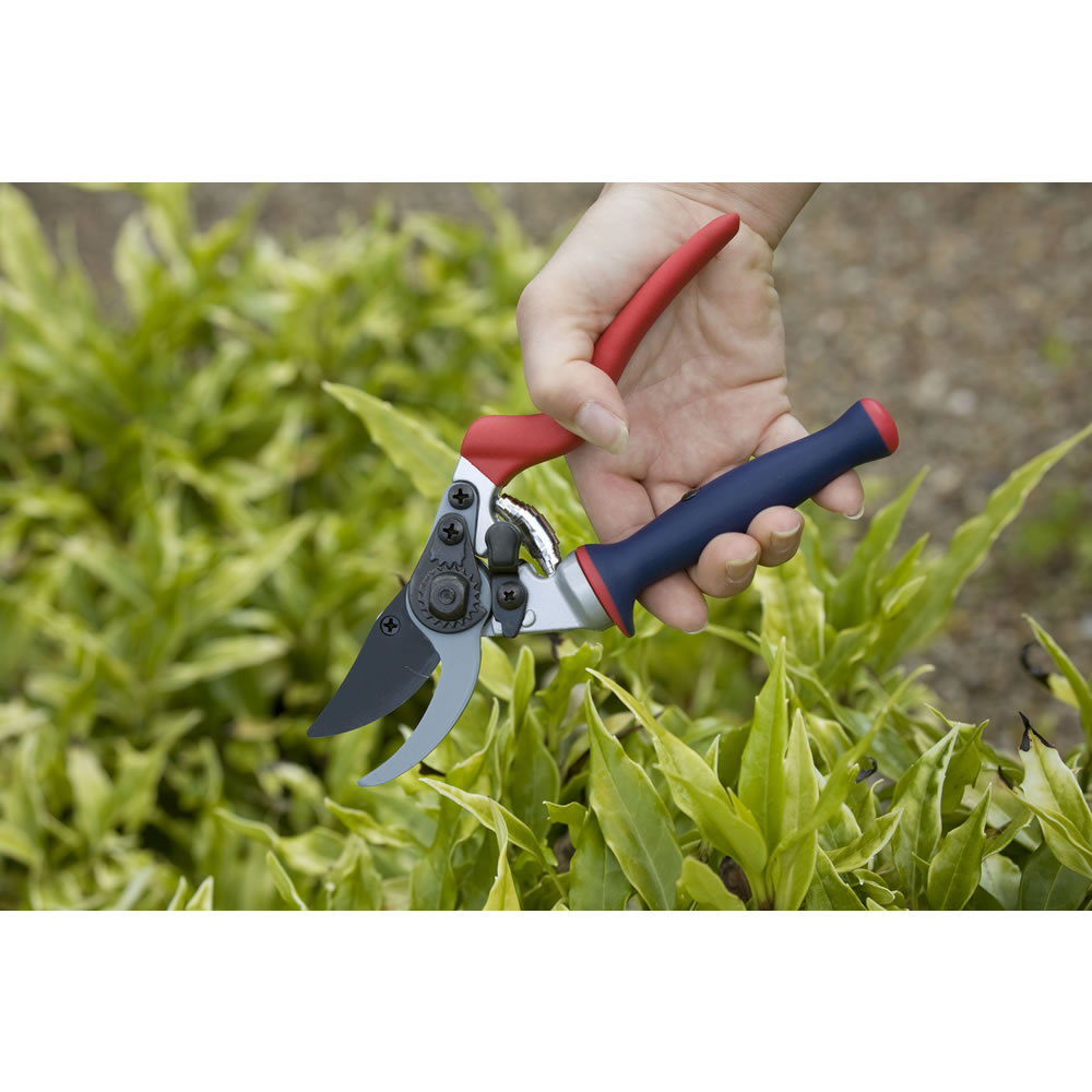 Spear & Jackson Razorsharp Bypass Secateurs with Ergo Twist Handle Wilko