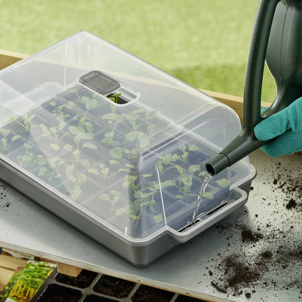 Clever Pots Propagator Image 8