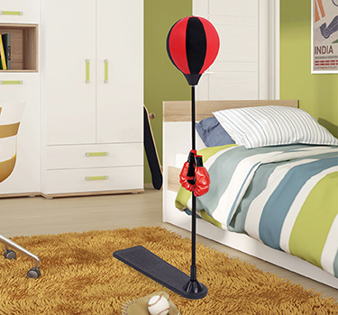 Boxing Gloves and Equipment