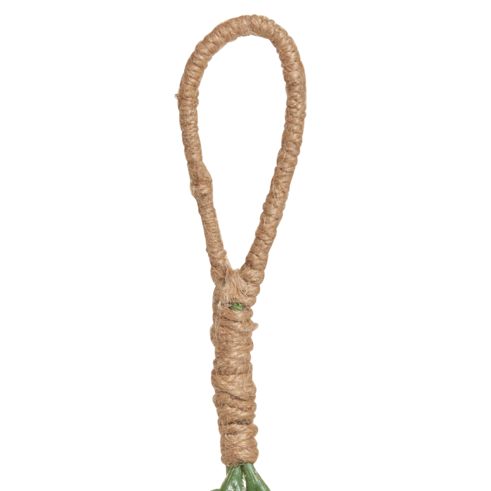 Wilko Mistletoe Bundle with Hanger Image 3