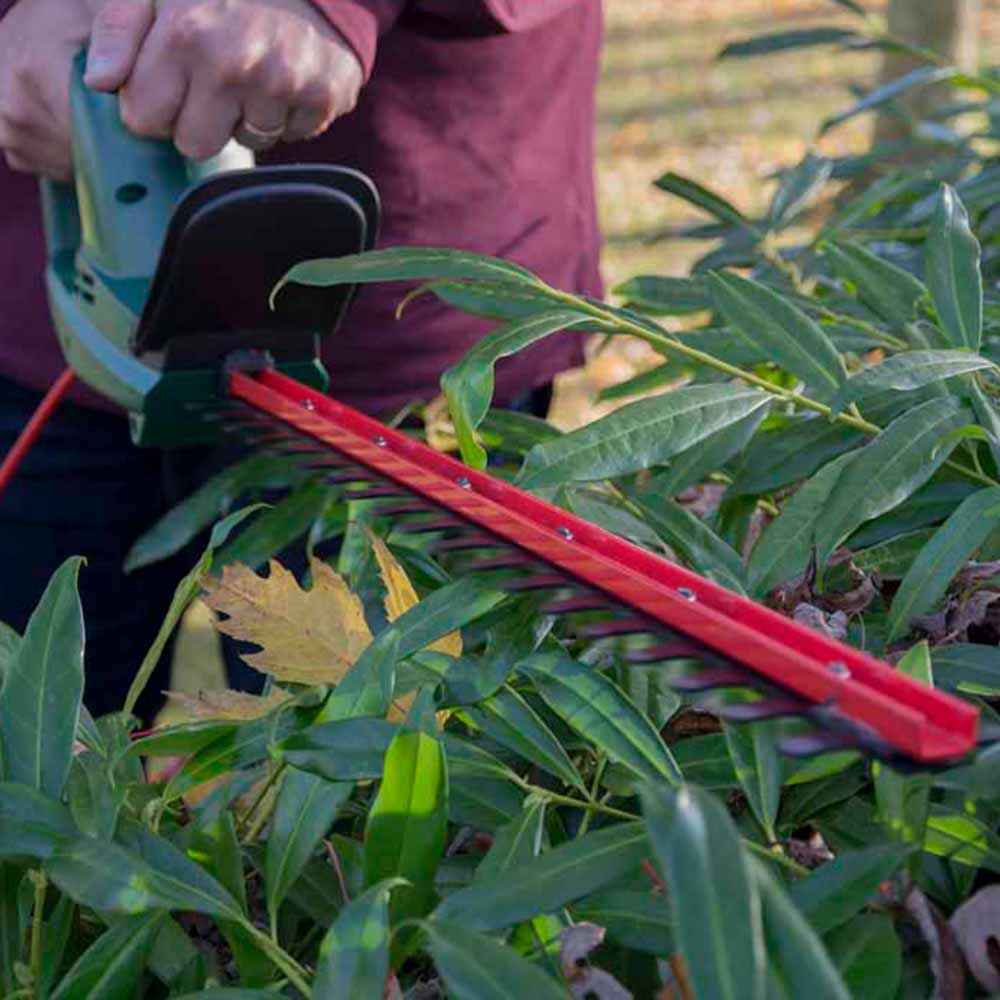 Webb WEEHT500 50cm Classic Hedge Trimmer Image 10