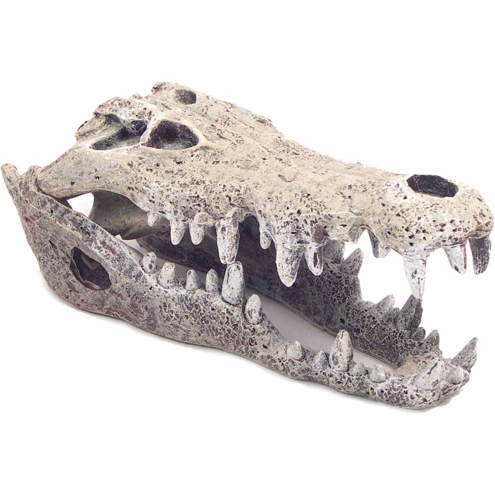 Rosewood Aquarium Ornament Crocodile Skull Image