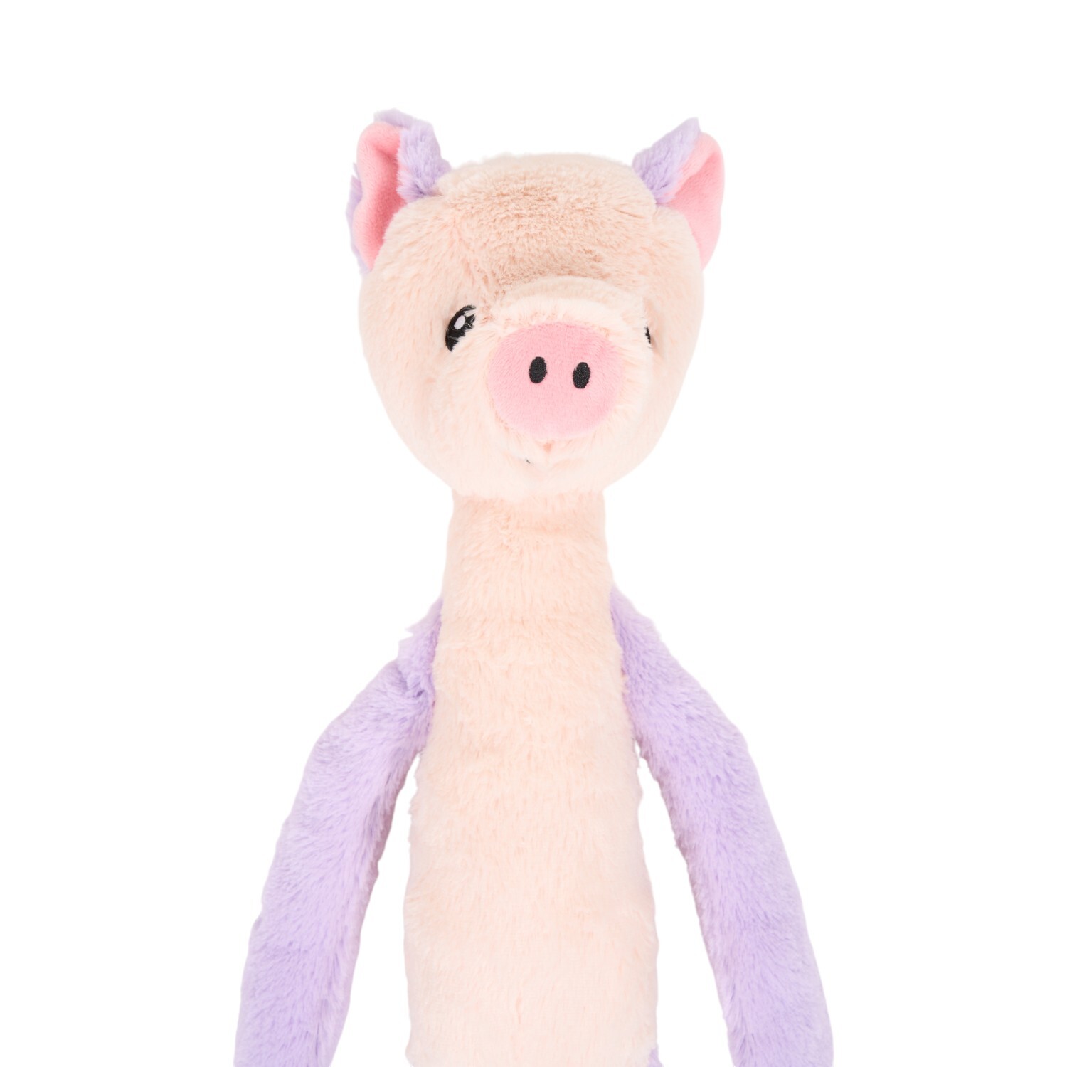 Long Limb Crinkle Buddies Dog Toy Image 5