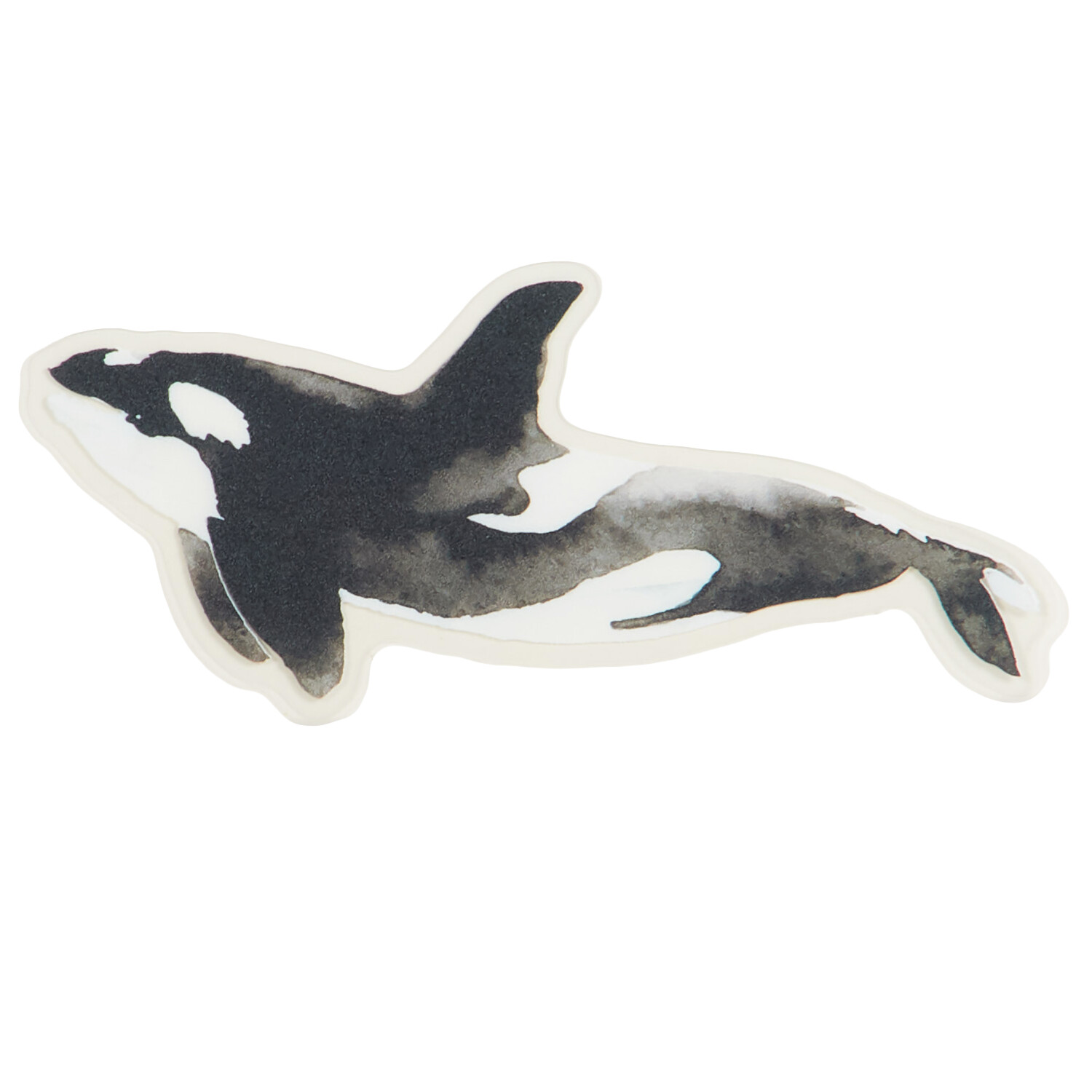 Pack of 18 Transparent Stickers - Multicolour / Sealife Image 3